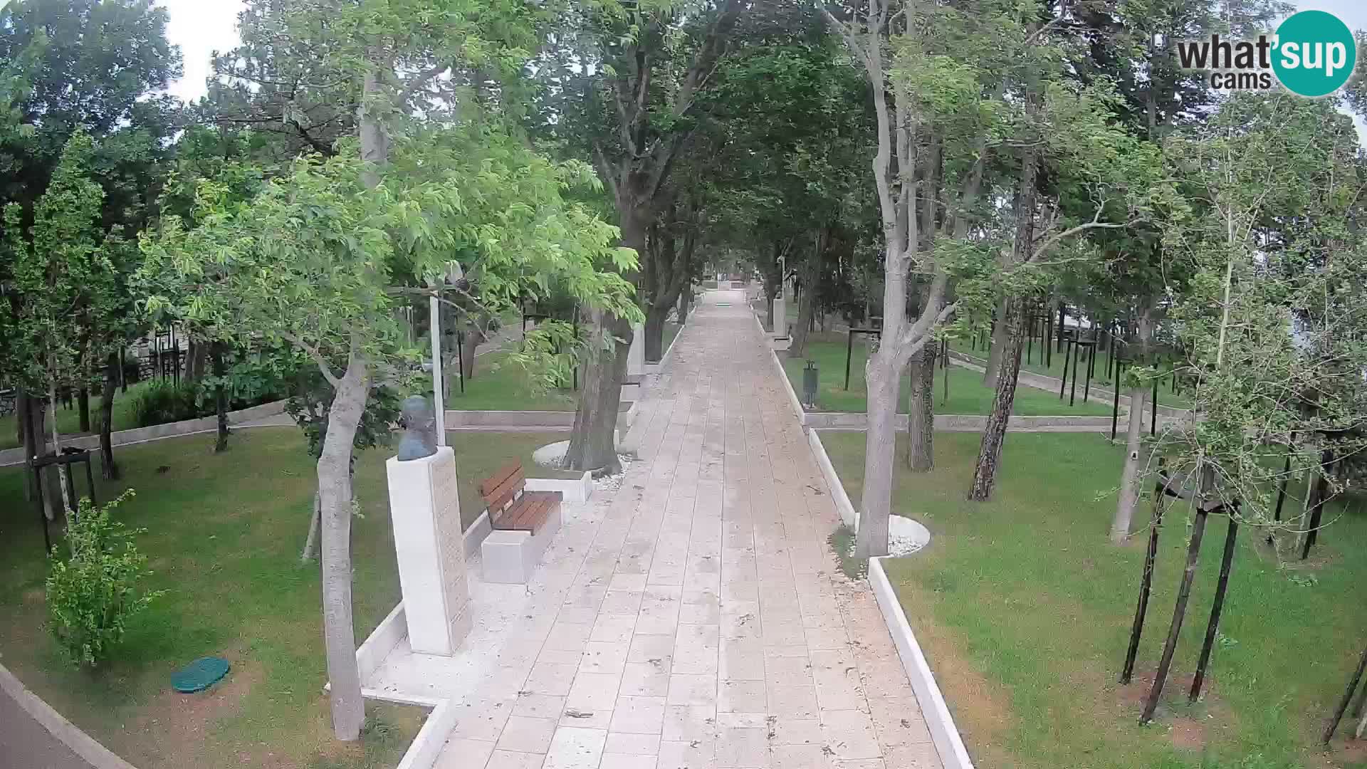 Webcam Parco degli Scrittori Segna – Diretta sul Mare