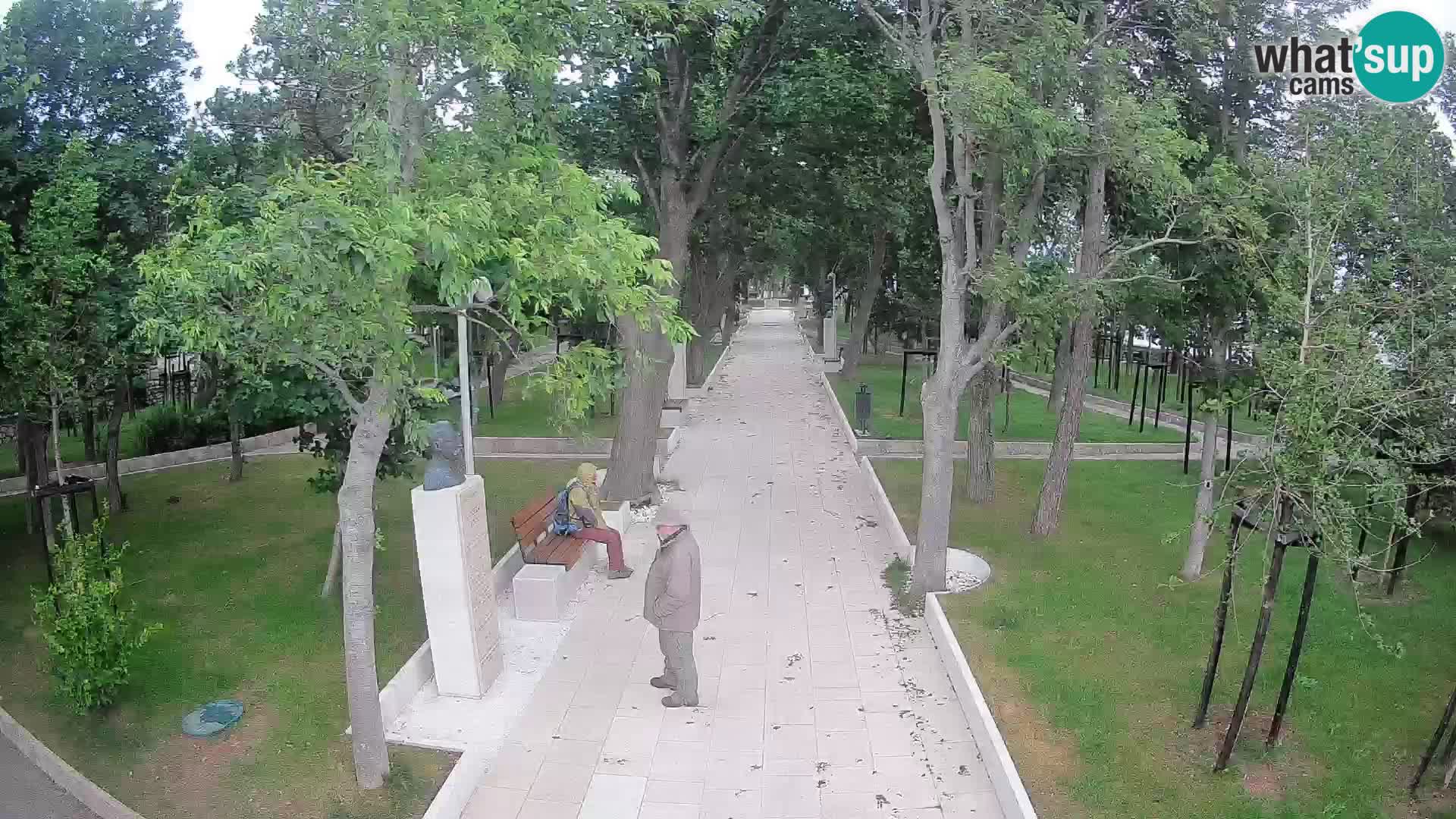 Webcam Parco degli Scrittori Segna – Diretta sul Mare