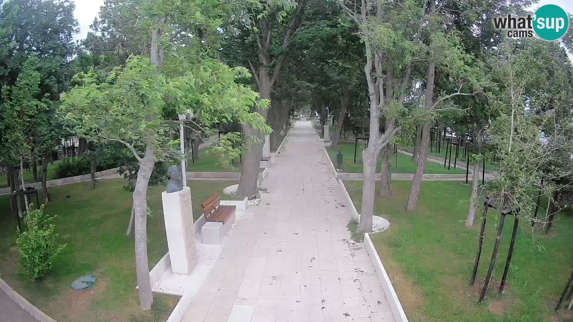Webcam Parco degli Scrittori Segna – Diretta sul Mare