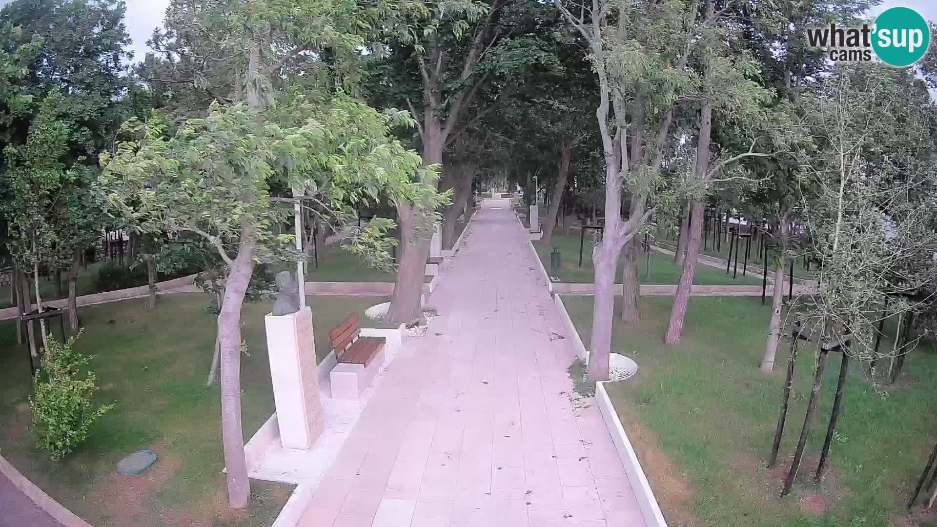 Webcam Parco degli Scrittori Segna – Diretta sul Mare