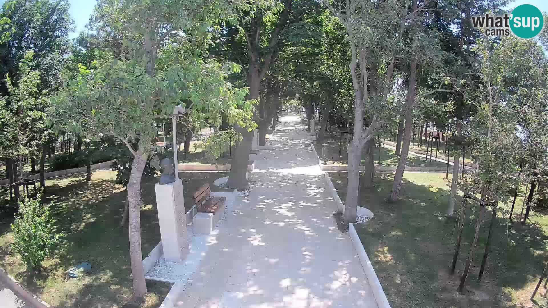 Webcam Parco degli Scrittori Segna – Diretta sul Mare