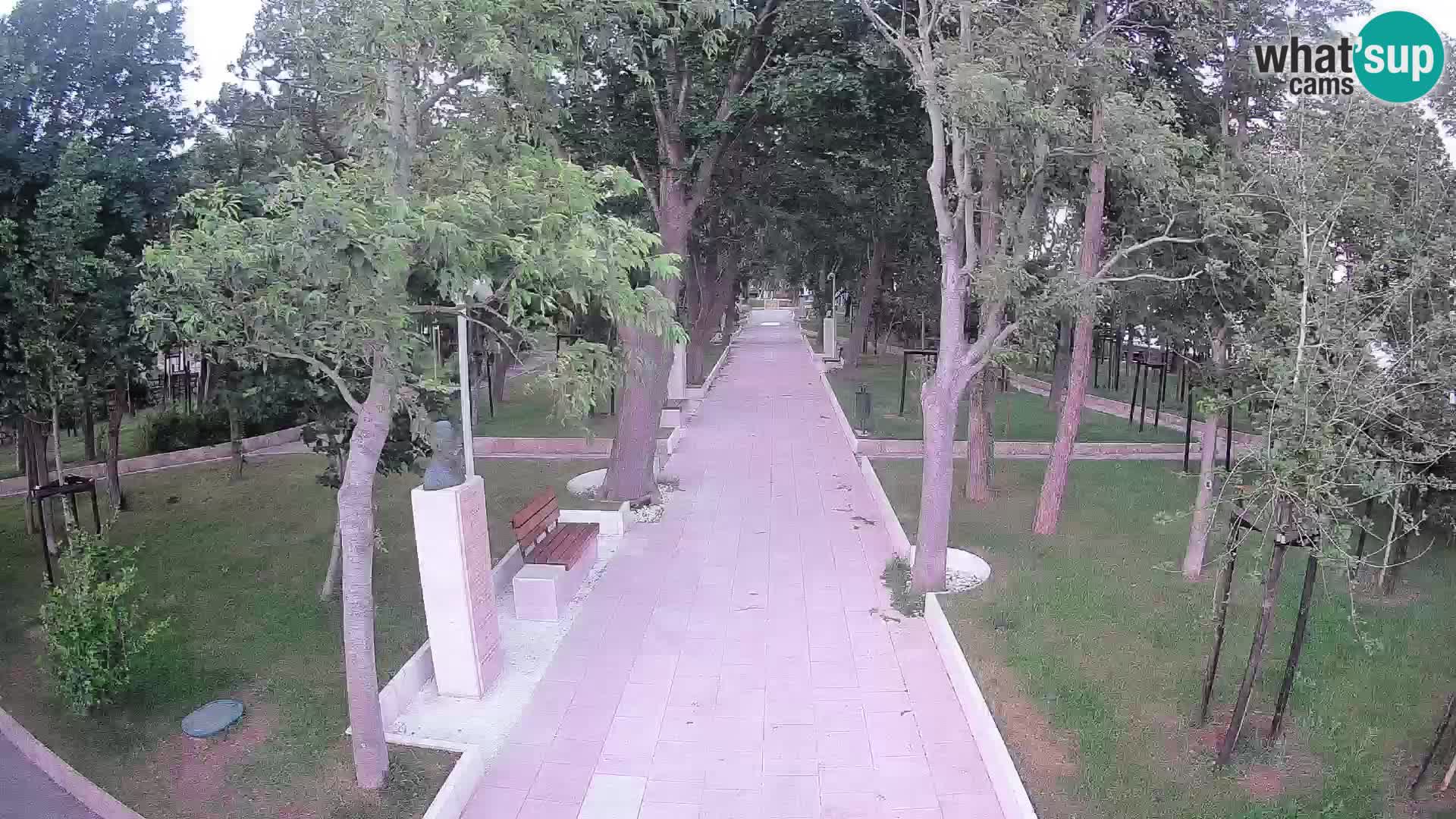 Webcam Schriftstellerpark Senj – Live am Meer
