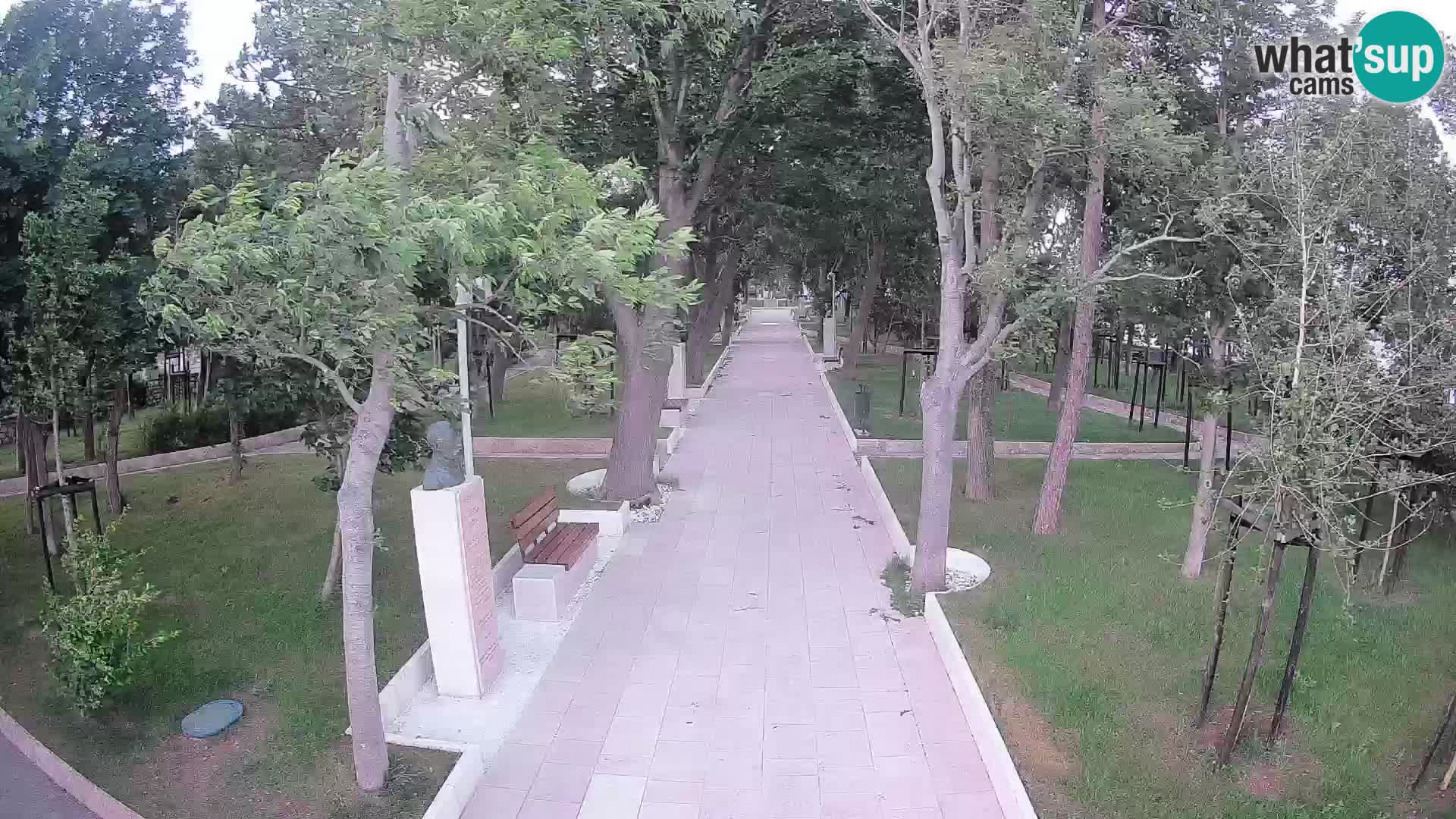 Webcam Parco degli Scrittori Segna – Diretta sul Mare