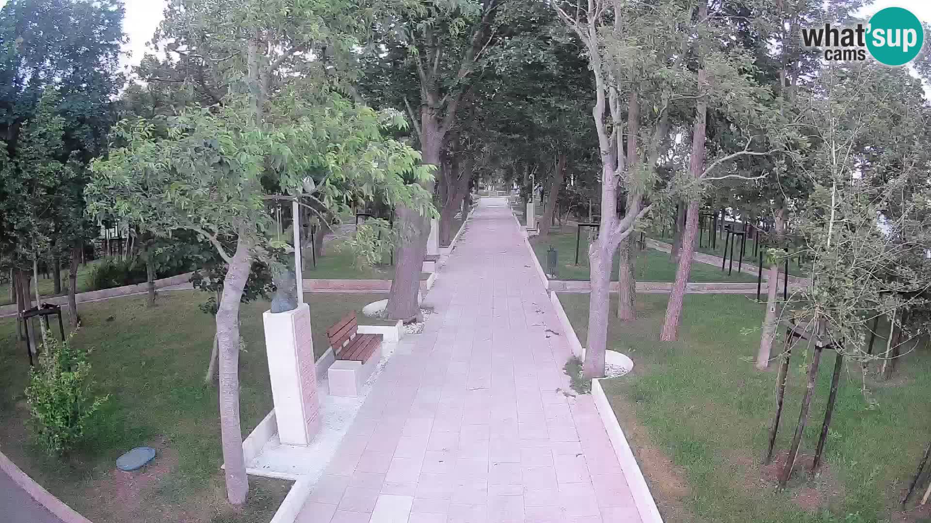 Webcam Schriftstellerpark Senj – Live am Meer