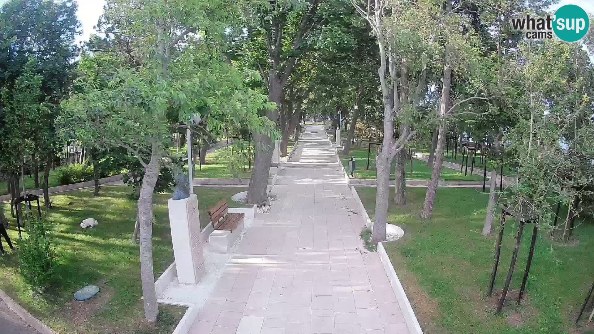 Writers’ Park Webcam Senj – Live by the Sea