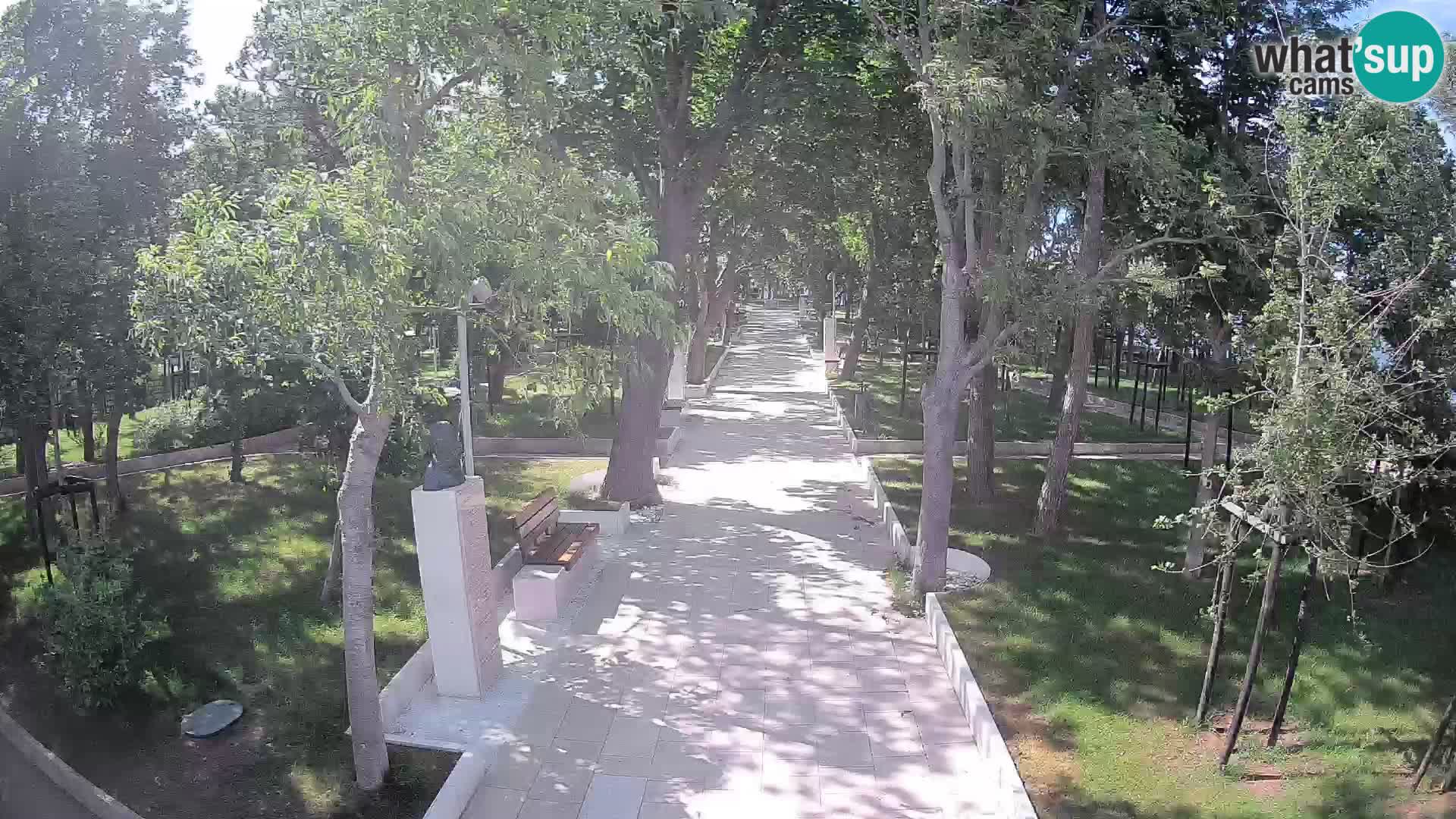 Webcam Parco degli Scrittori Segna – Diretta sul Mare