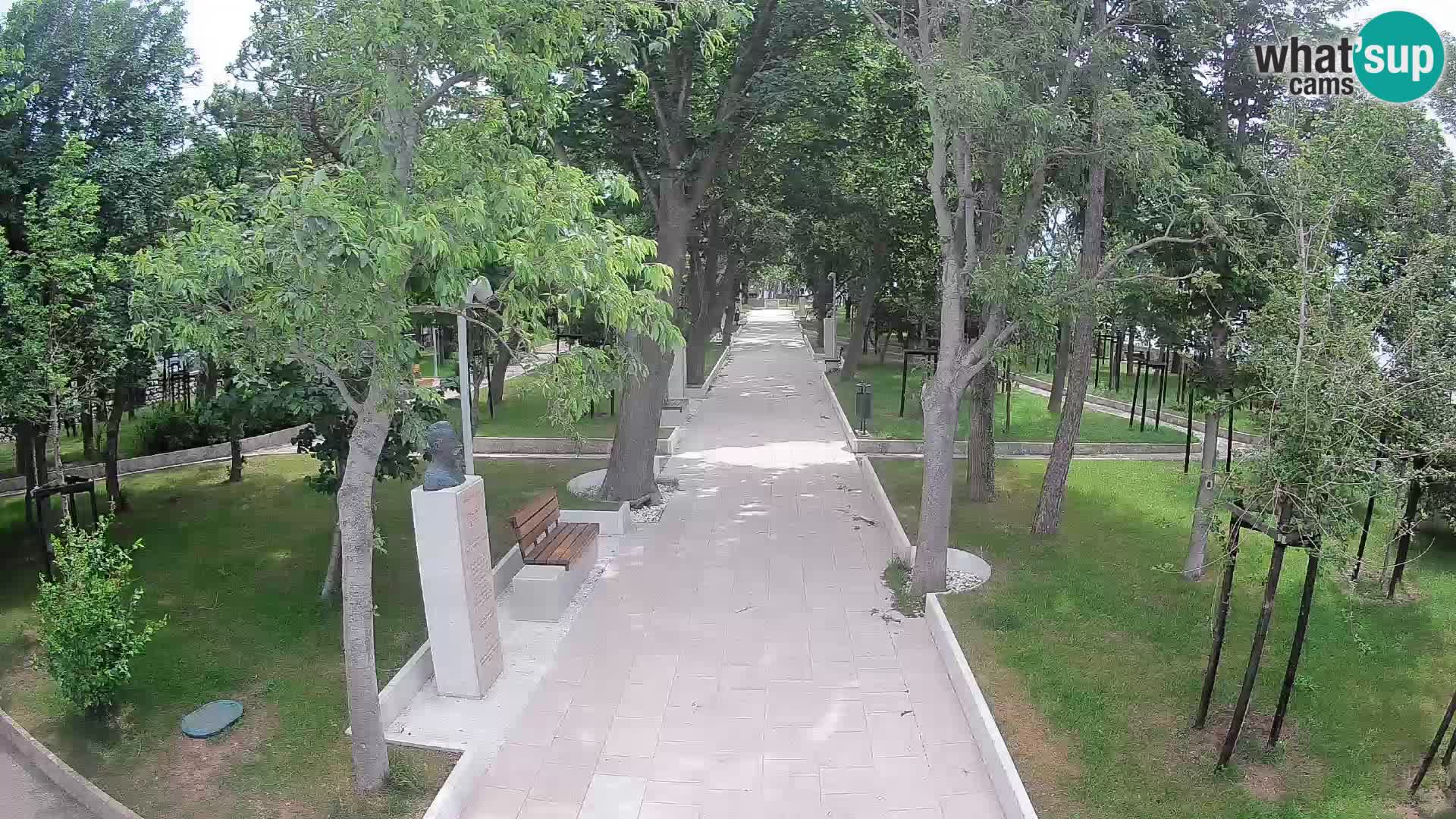 Webcam Parco degli Scrittori Segna – Diretta sul Mare