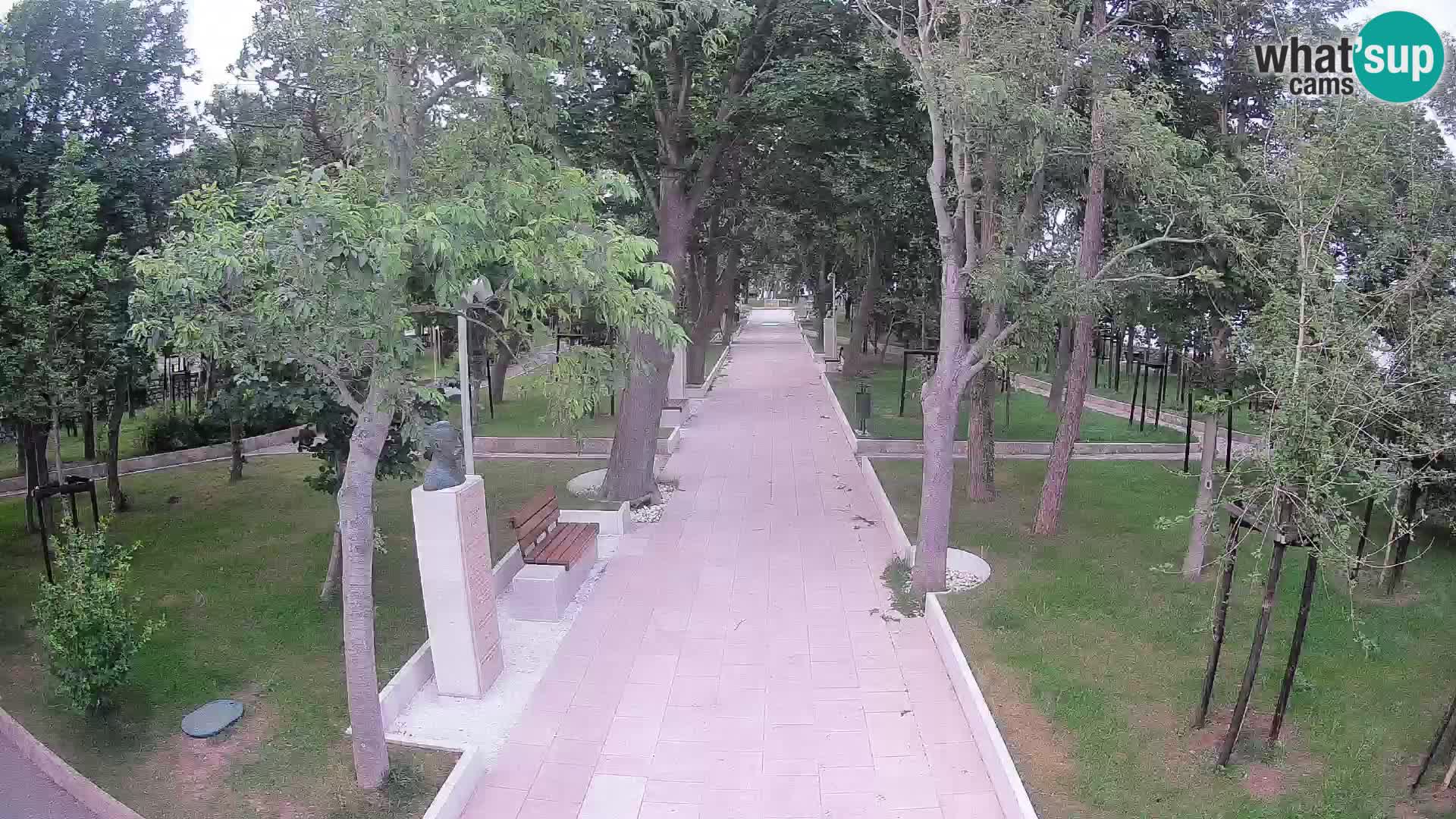 Webcam Schriftstellerpark Senj – Live am Meer