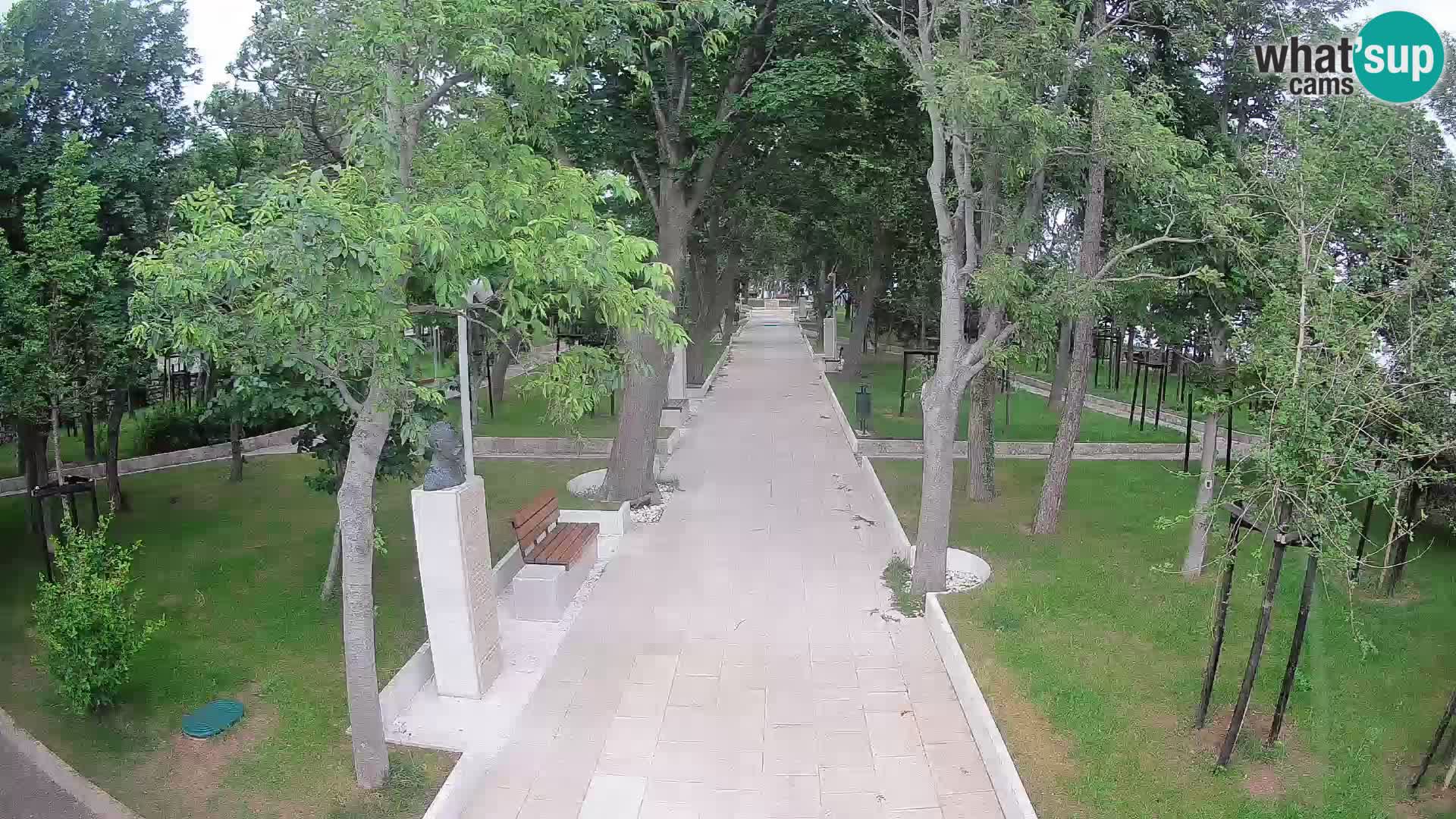Webcam Parco degli Scrittori Segna – Diretta sul Mare
