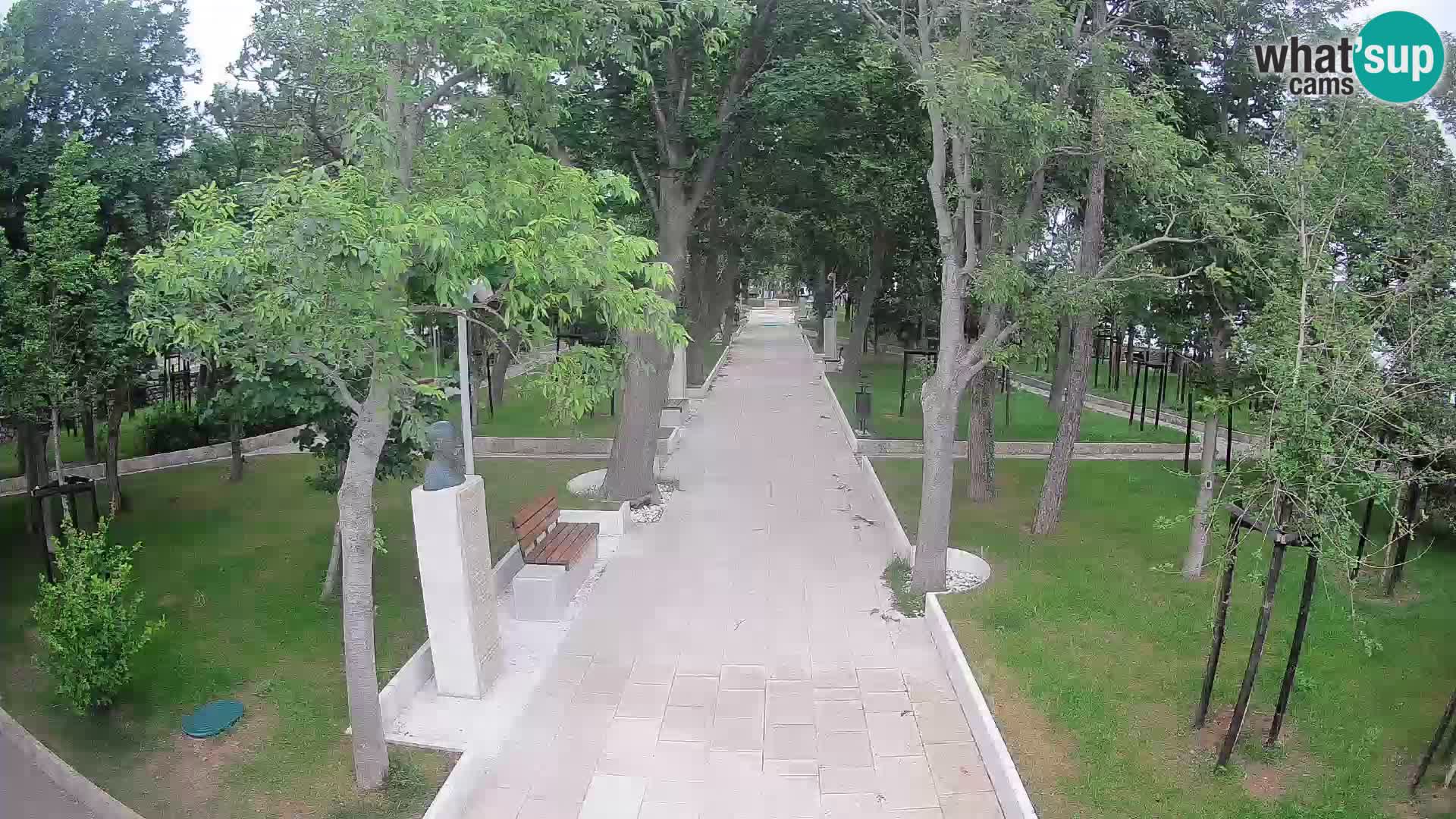 Webcam Parco degli Scrittori Segna – Diretta sul Mare