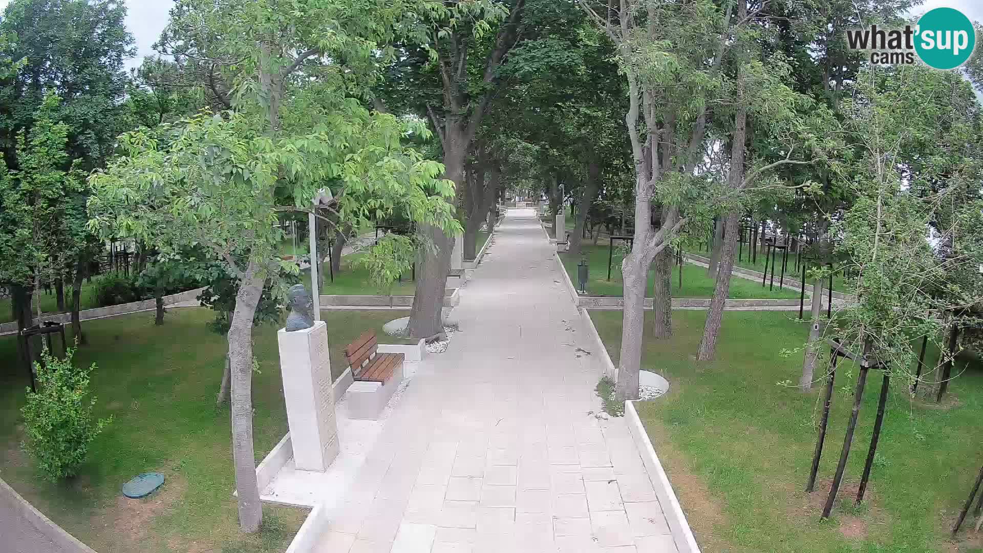 Webcam Parco degli Scrittori Segna – Diretta sul Mare