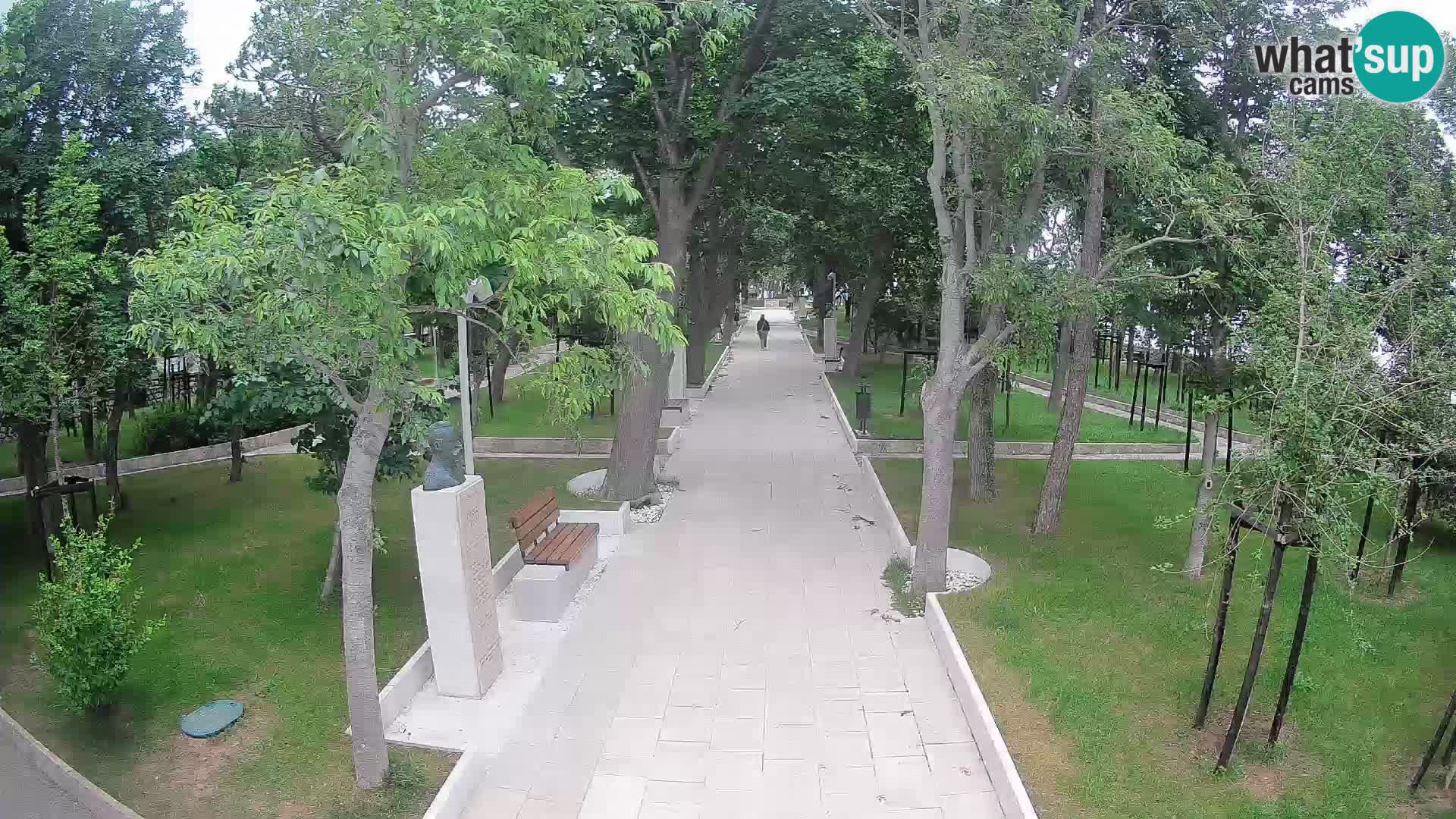 Webcam Parco degli Scrittori Segna – Diretta sul Mare