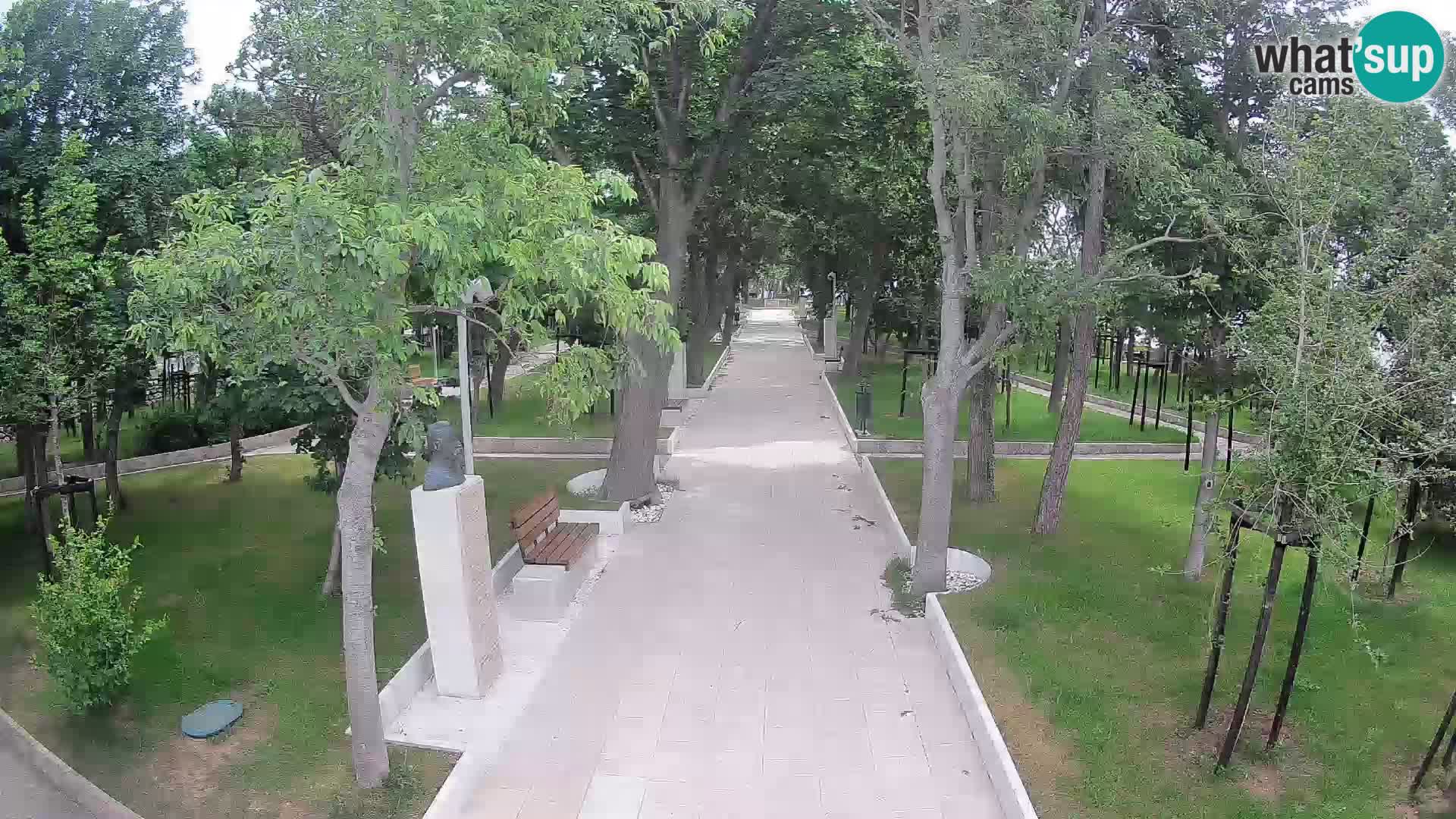 Webcam Parco degli Scrittori Segna – Diretta sul Mare