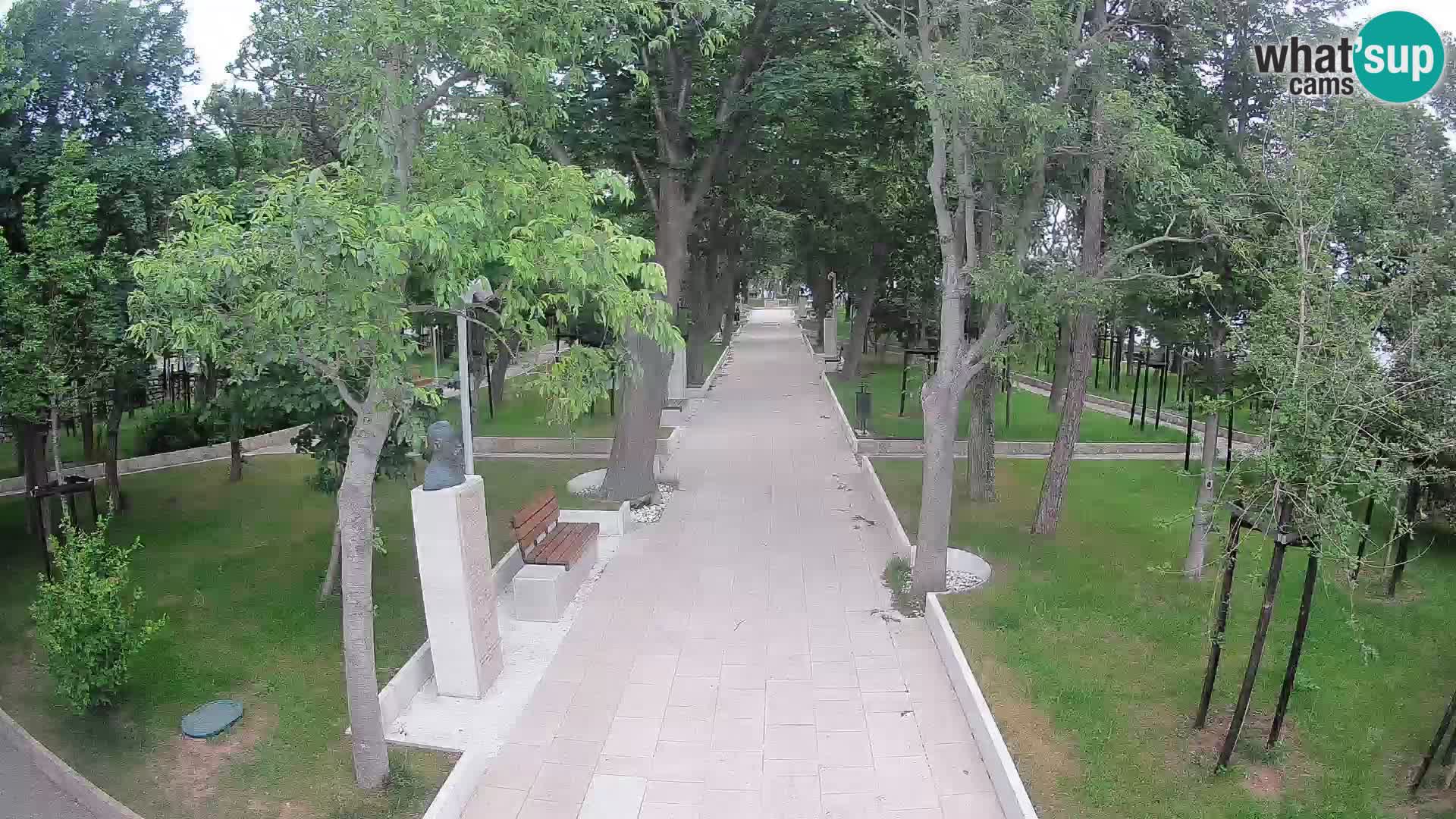 Webcam Parco degli Scrittori Segna – Diretta sul Mare