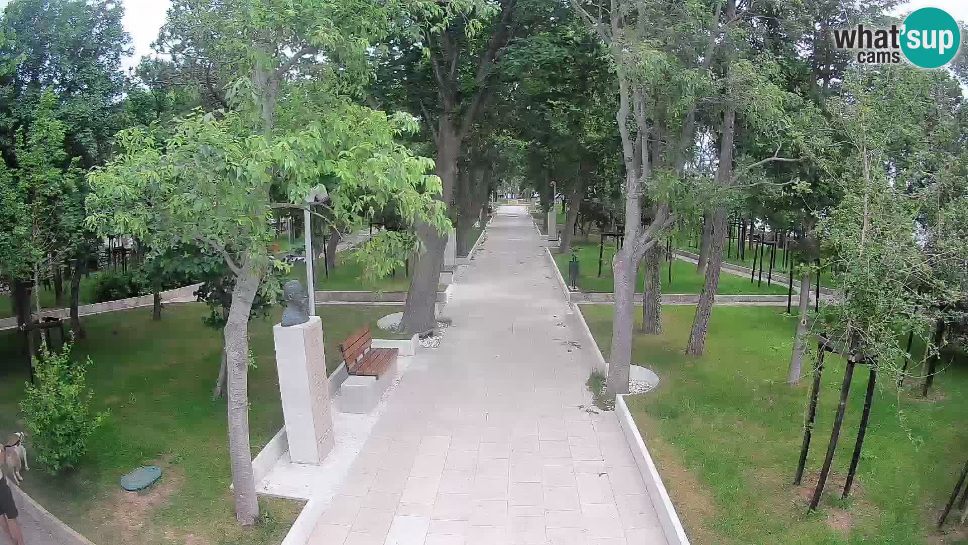 Writers’ Park Webcam Senj – Live by the Sea