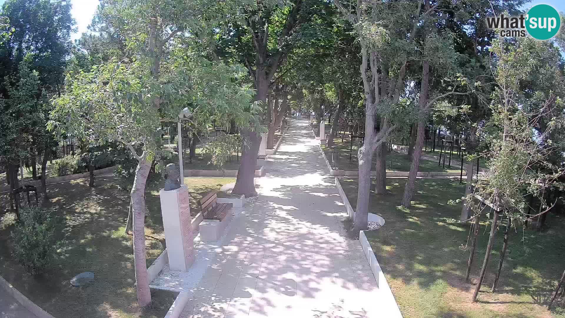 Webcam Parco degli Scrittori Segna – Diretta sul Mare