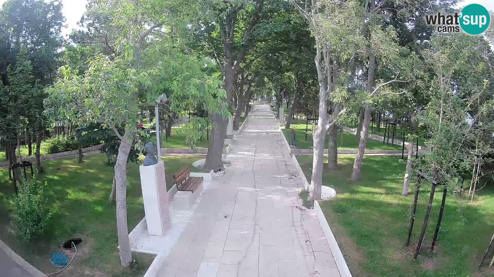 Webcam Parco degli Scrittori Segna – Diretta sul Mare