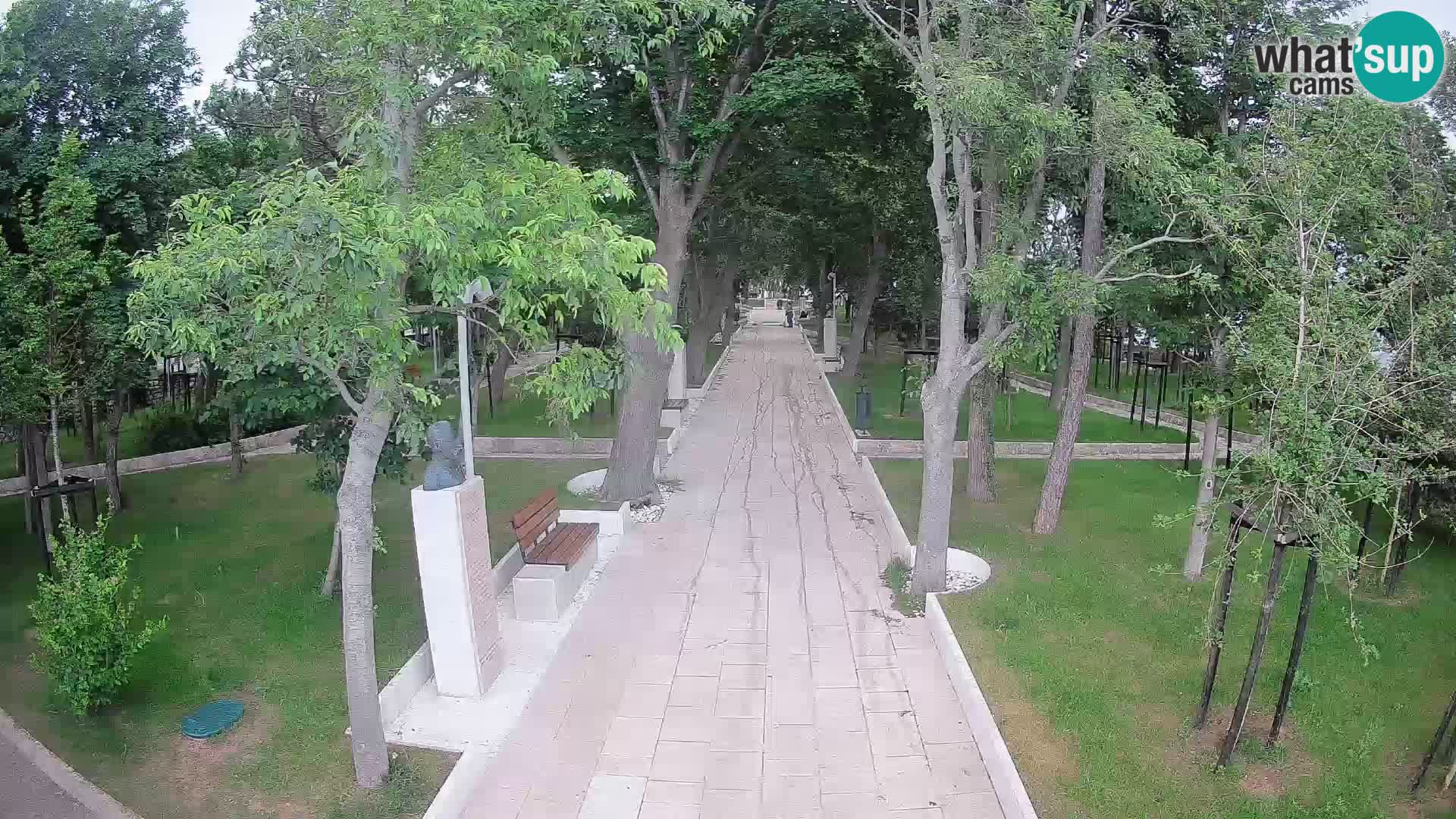 Webcam Parco degli Scrittori Segna – Diretta sul Mare