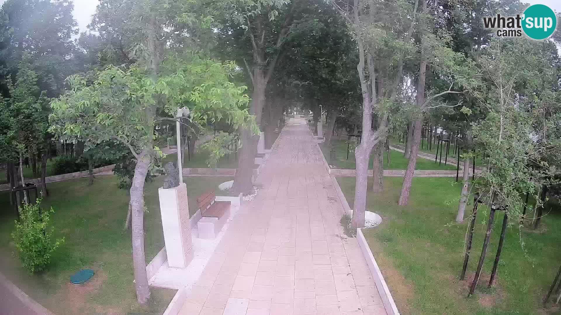 Webcam Parco degli Scrittori Segna – Diretta sul Mare