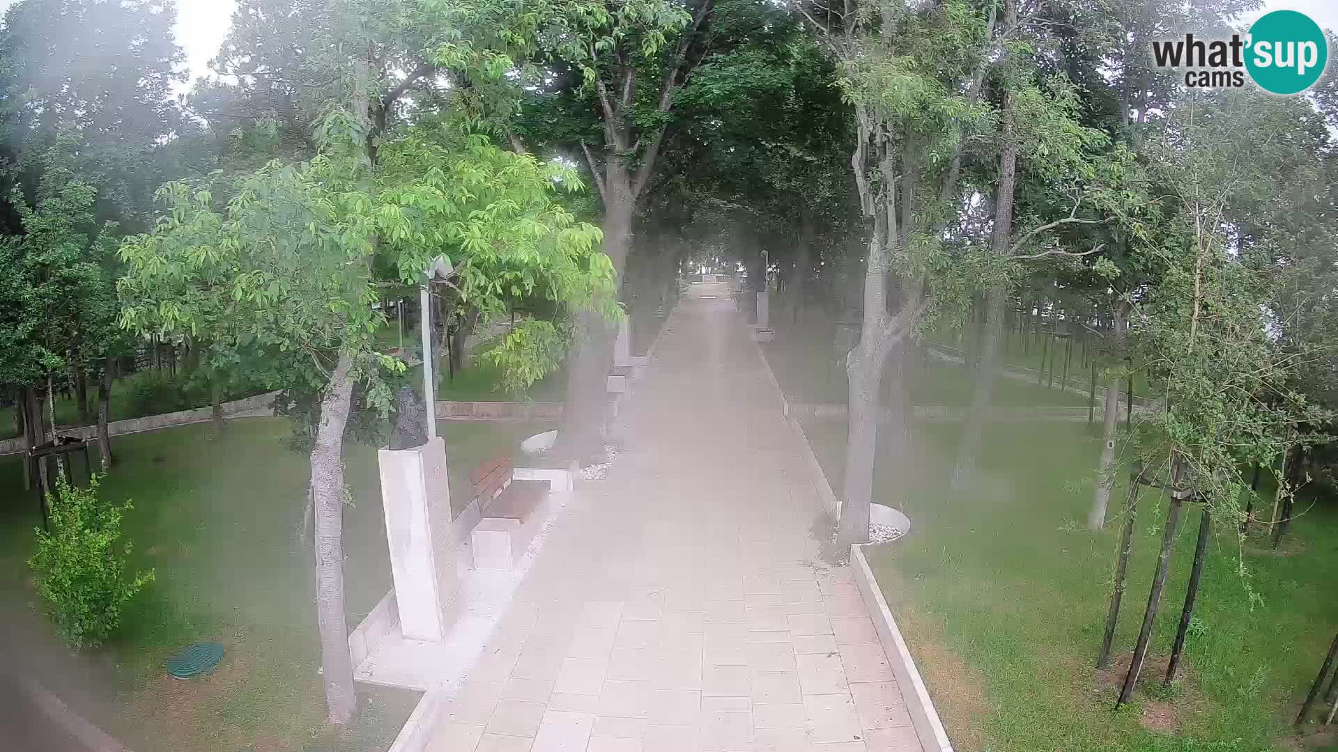 Webcam Parco degli Scrittori Segna – Diretta sul Mare
