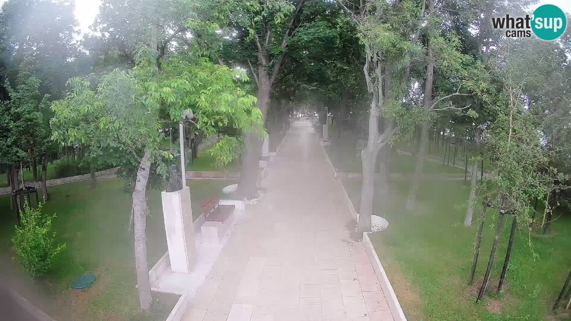 Webcam Parco degli Scrittori Segna – Diretta sul Mare