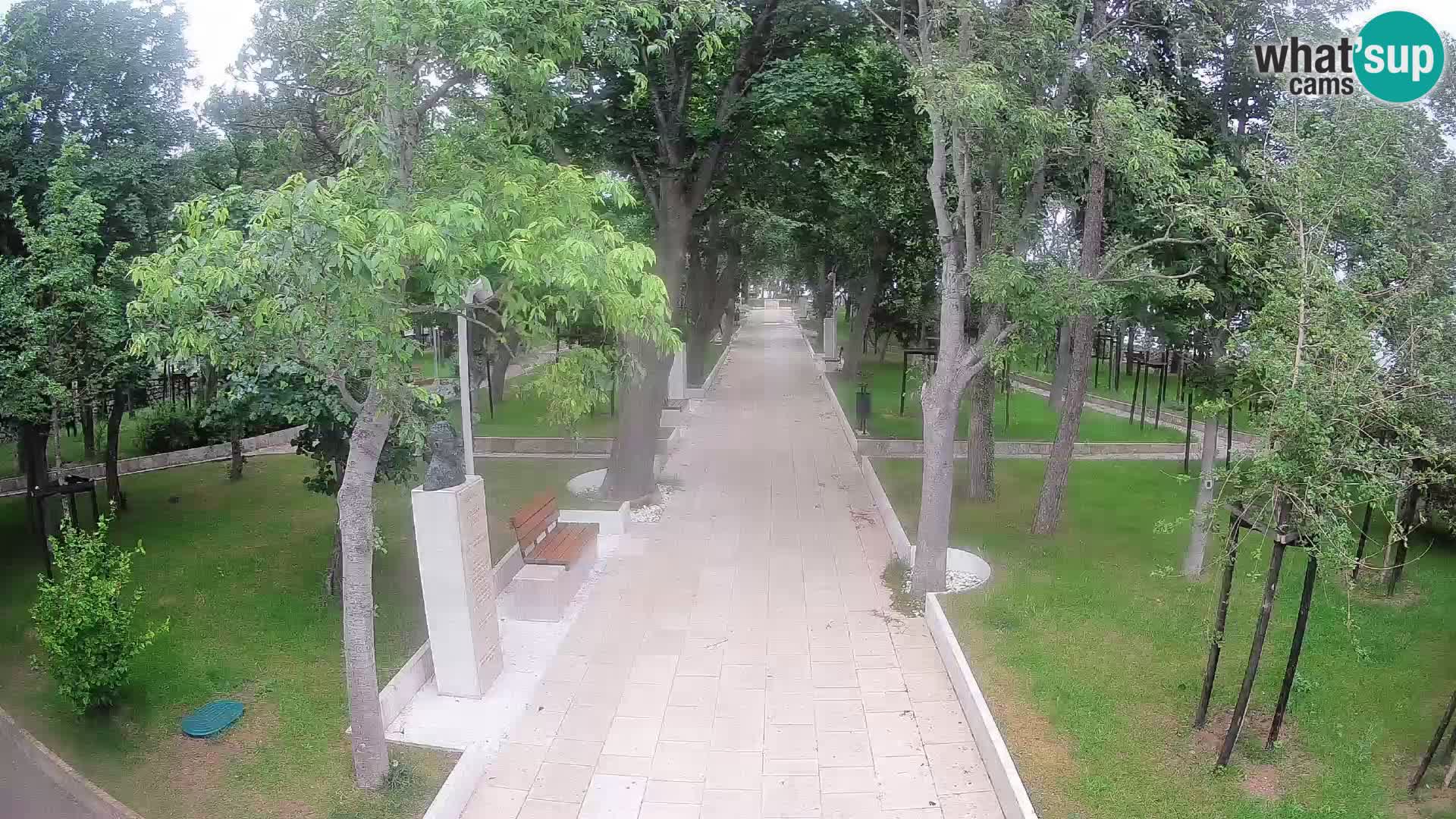 Webcam Schriftstellerpark Senj – Live am Meer