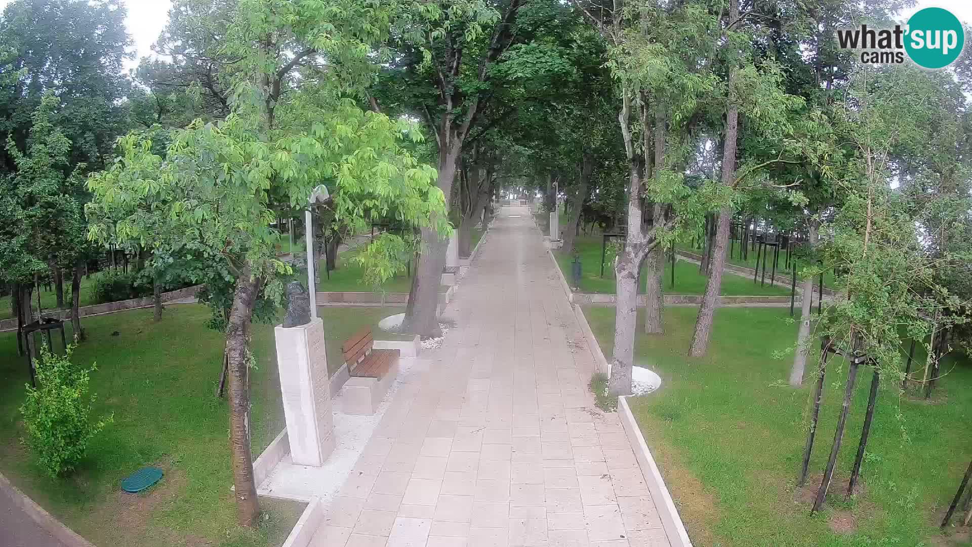 Webcam Schriftstellerpark Senj – Live am Meer