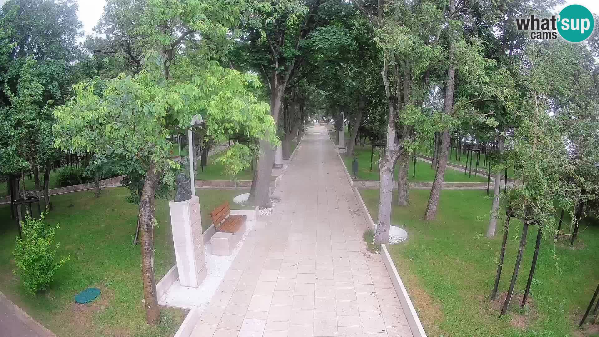 Webcam Parco degli Scrittori Segna – Diretta sul Mare