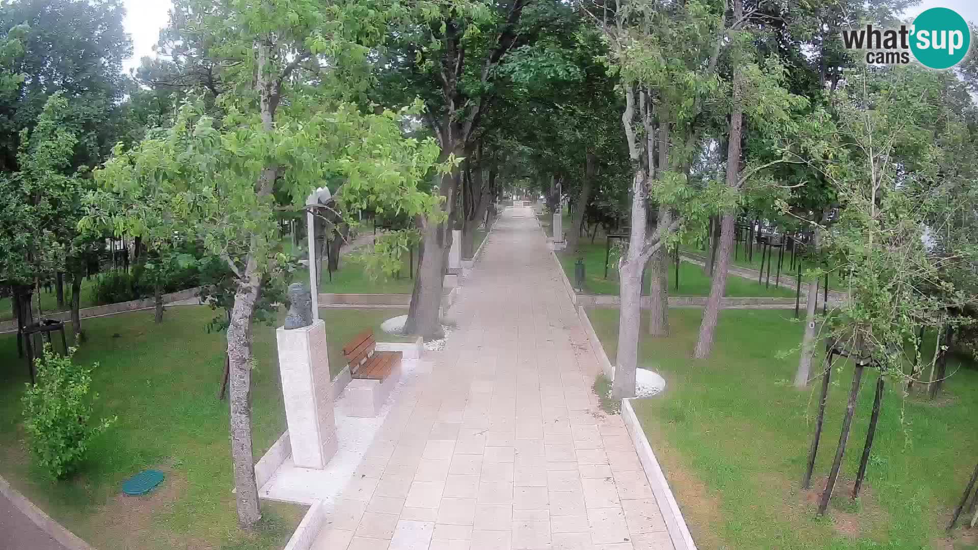 Webcam Parco degli Scrittori Segna – Diretta sul Mare