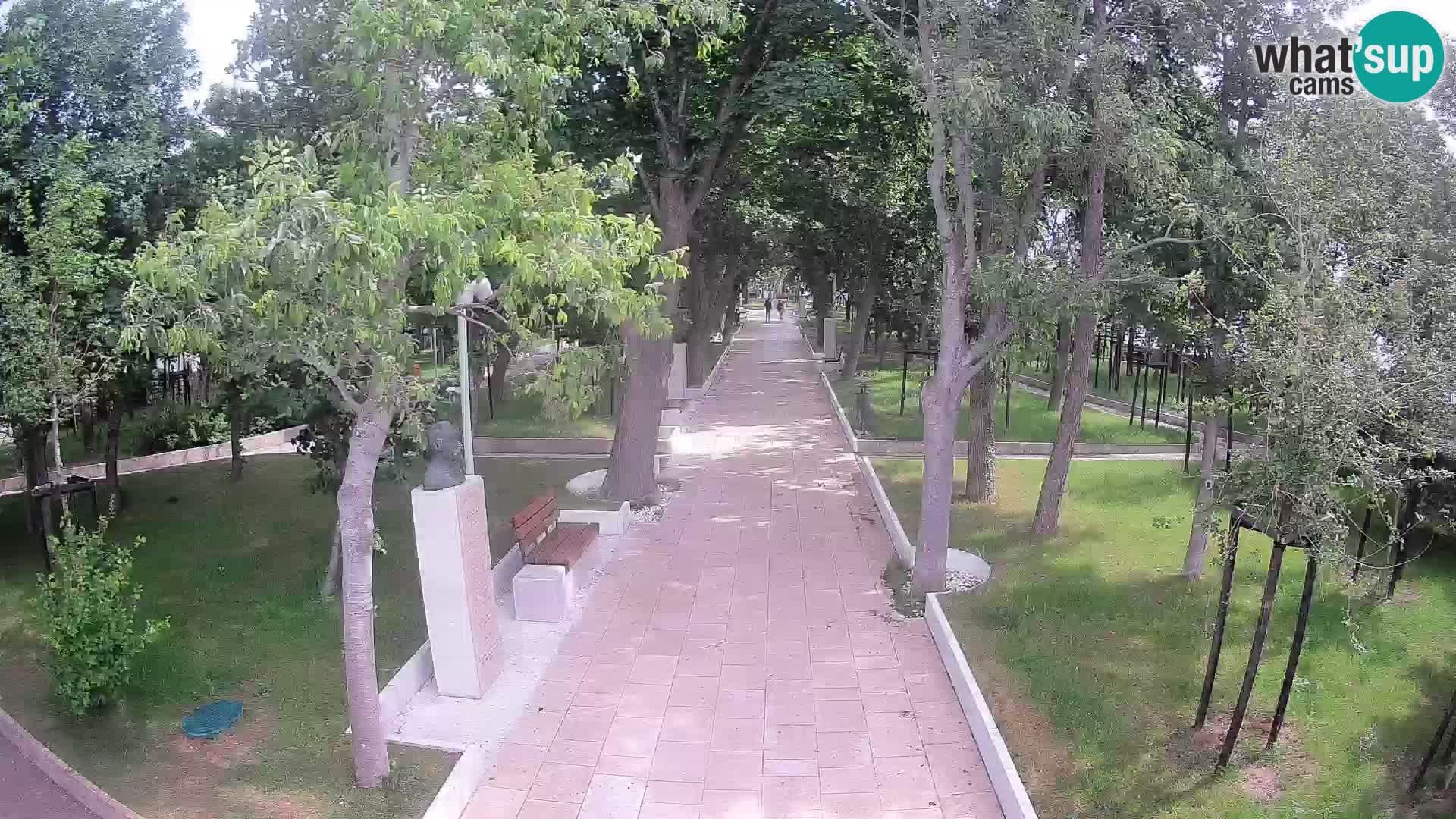 Webcam Parco degli Scrittori Segna – Diretta sul Mare