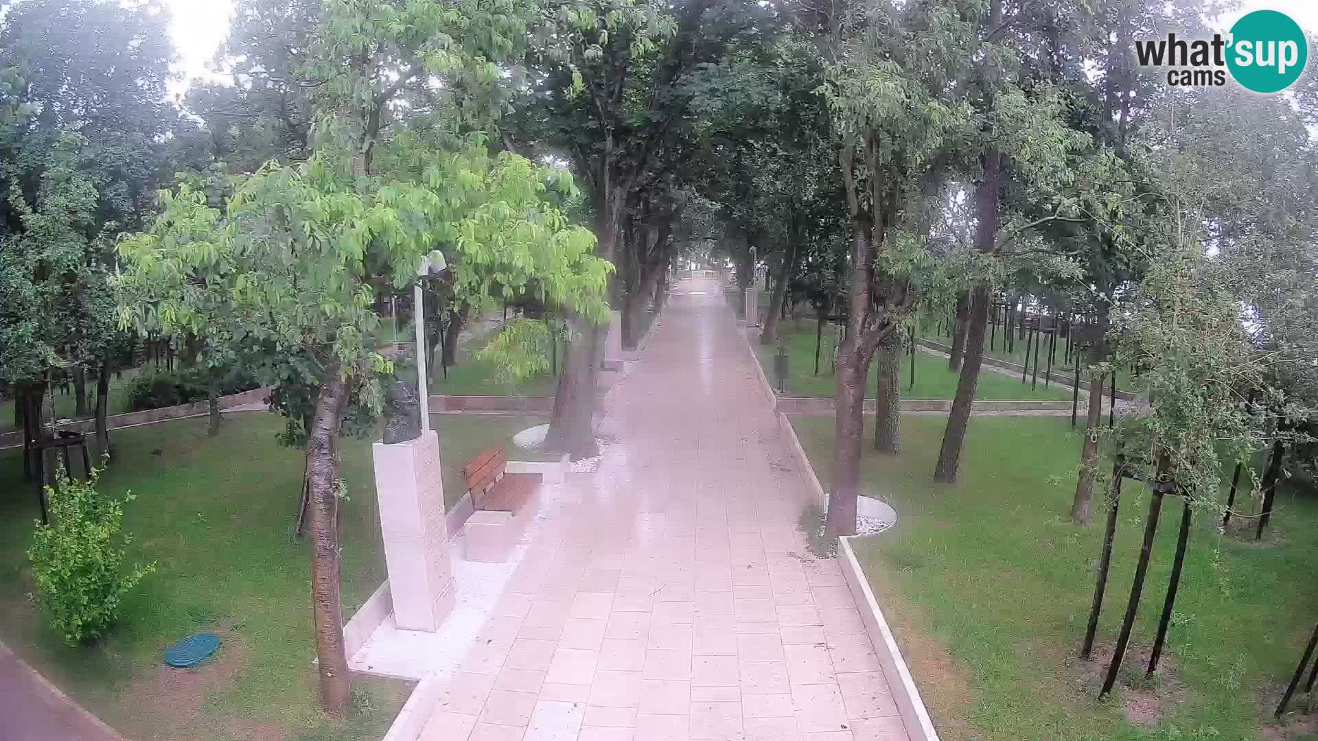 Webcam Schriftstellerpark Senj – Live am Meer