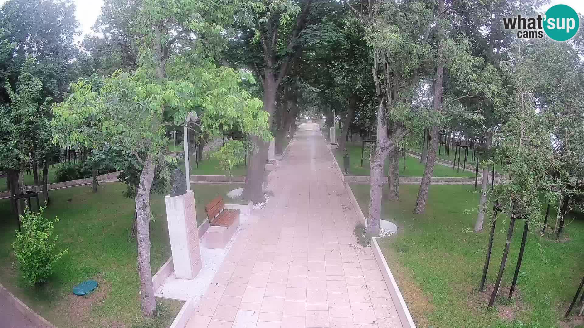 Webcam Parco degli Scrittori Segna – Diretta sul Mare
