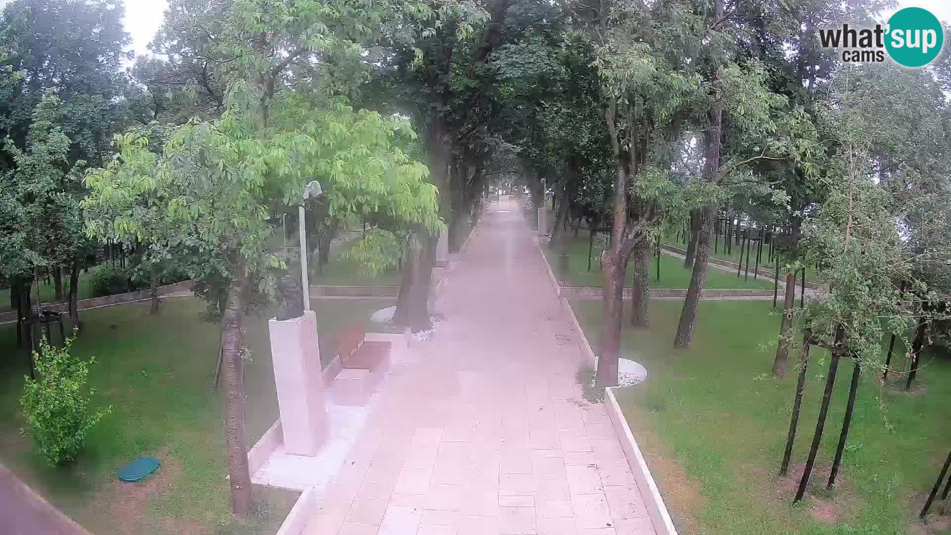 Webcam Schriftstellerpark Senj – Live am Meer