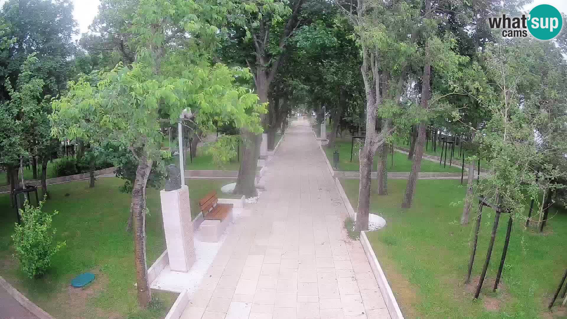Webcam Parco degli Scrittori Segna – Diretta sul Mare