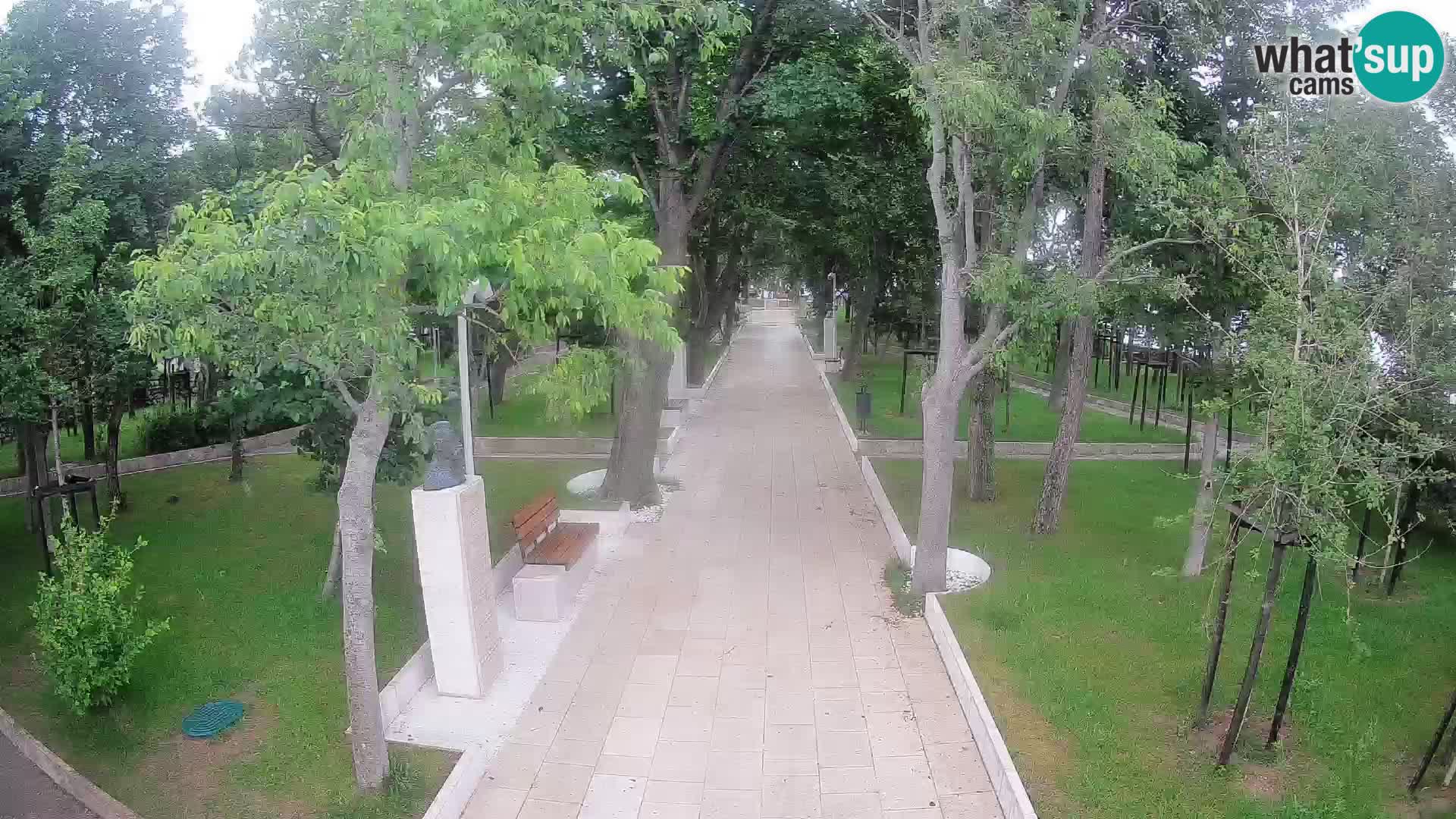 Writers’ Park Webcam Senj – Live by the Sea