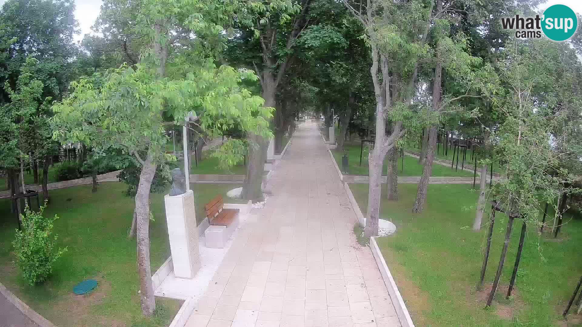 Webcam Schriftstellerpark Senj – Live am Meer