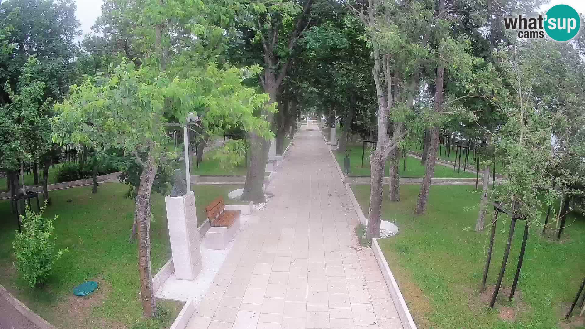 Webcam Schriftstellerpark Senj – Live am Meer