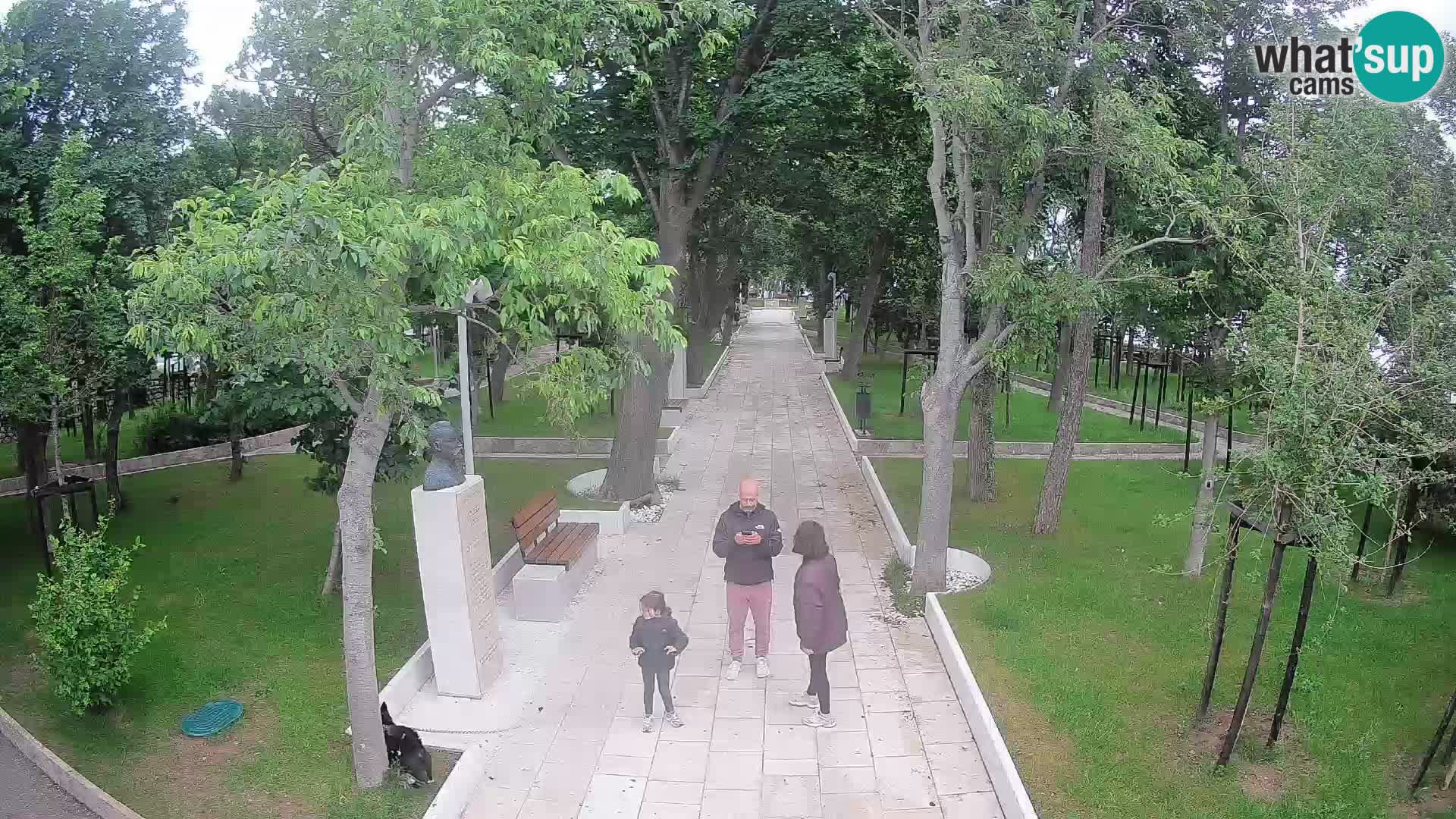 Webcam Parco degli Scrittori Segna – Diretta sul Mare