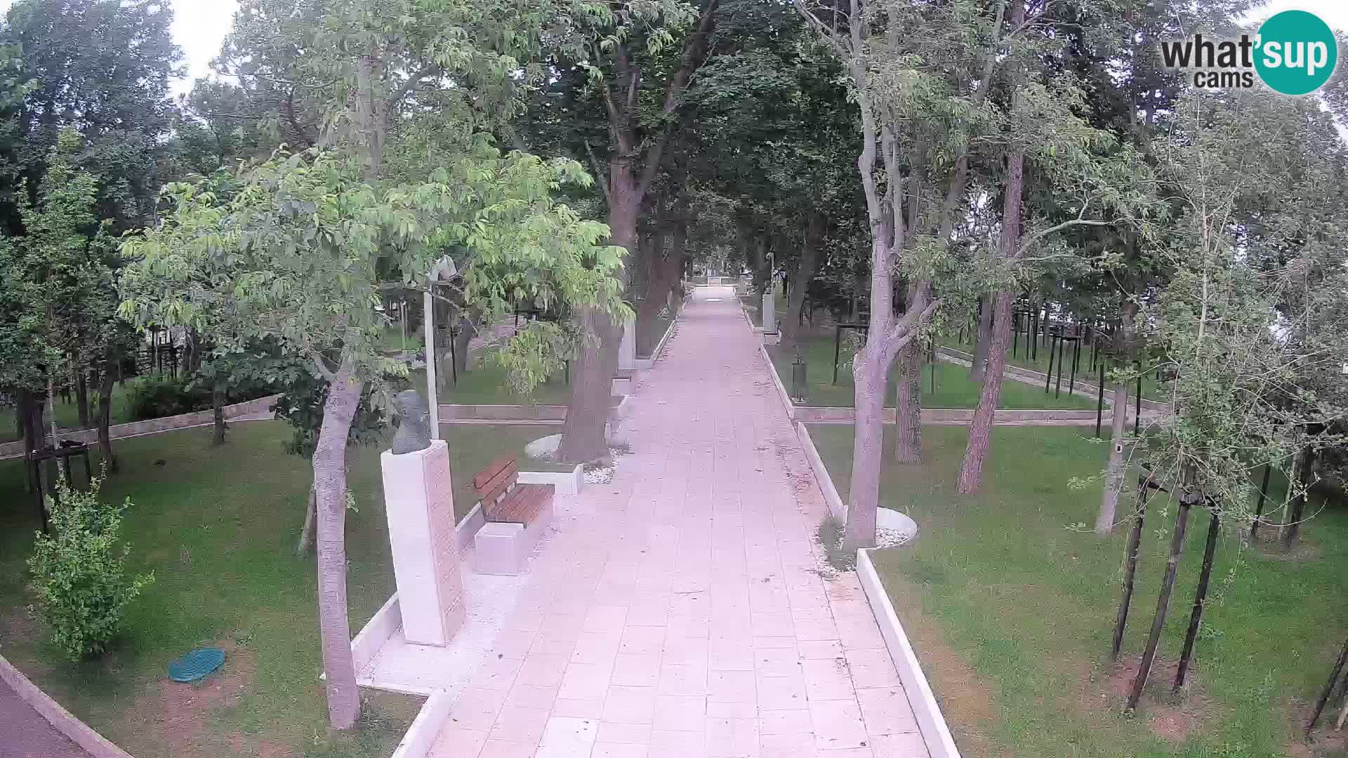 Webcam Parco degli Scrittori Segna – Diretta sul Mare