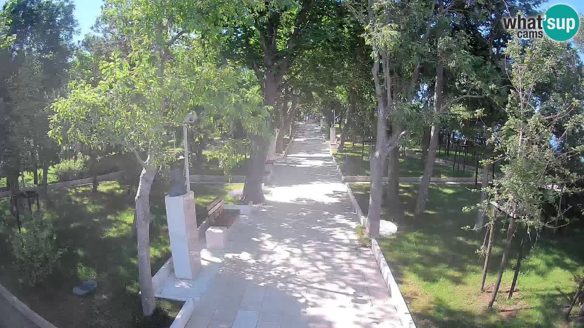 Webcam Parco degli Scrittori Segna – Diretta sul Mare
