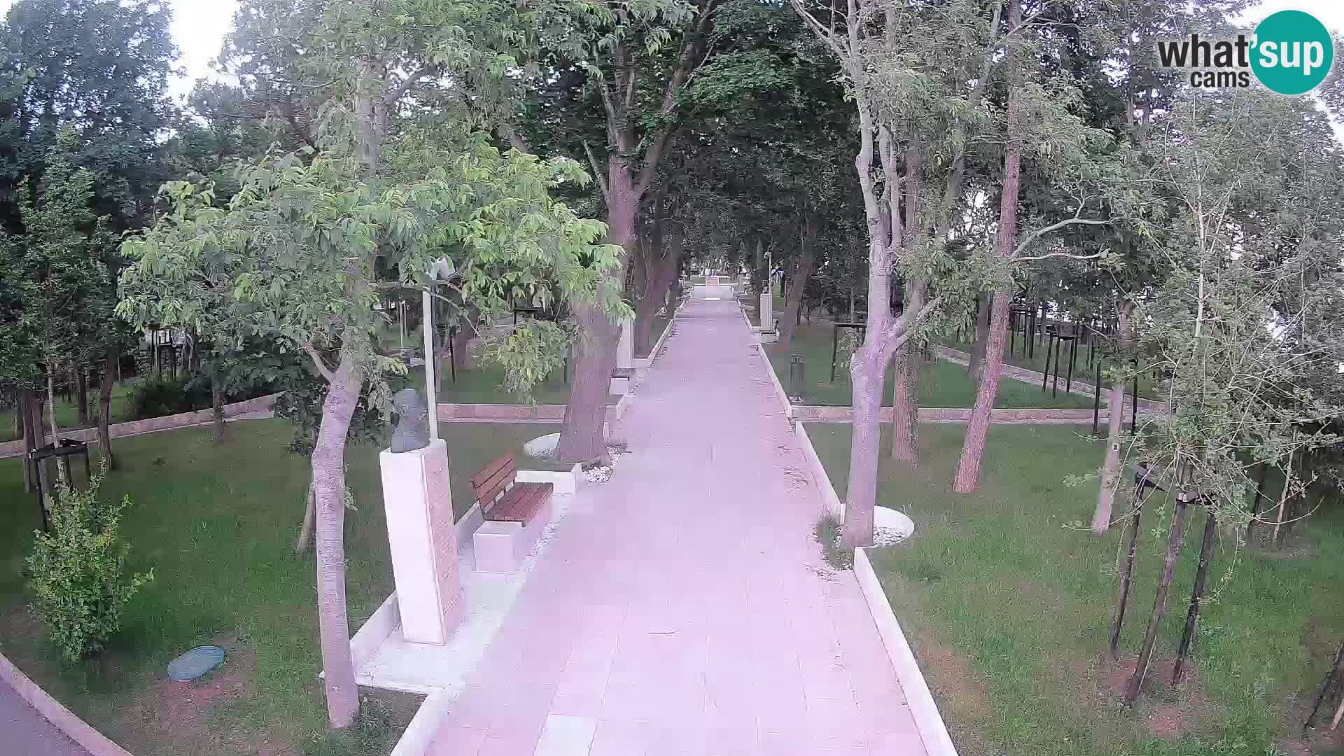 Webcam Parco degli Scrittori Segna – Diretta sul Mare