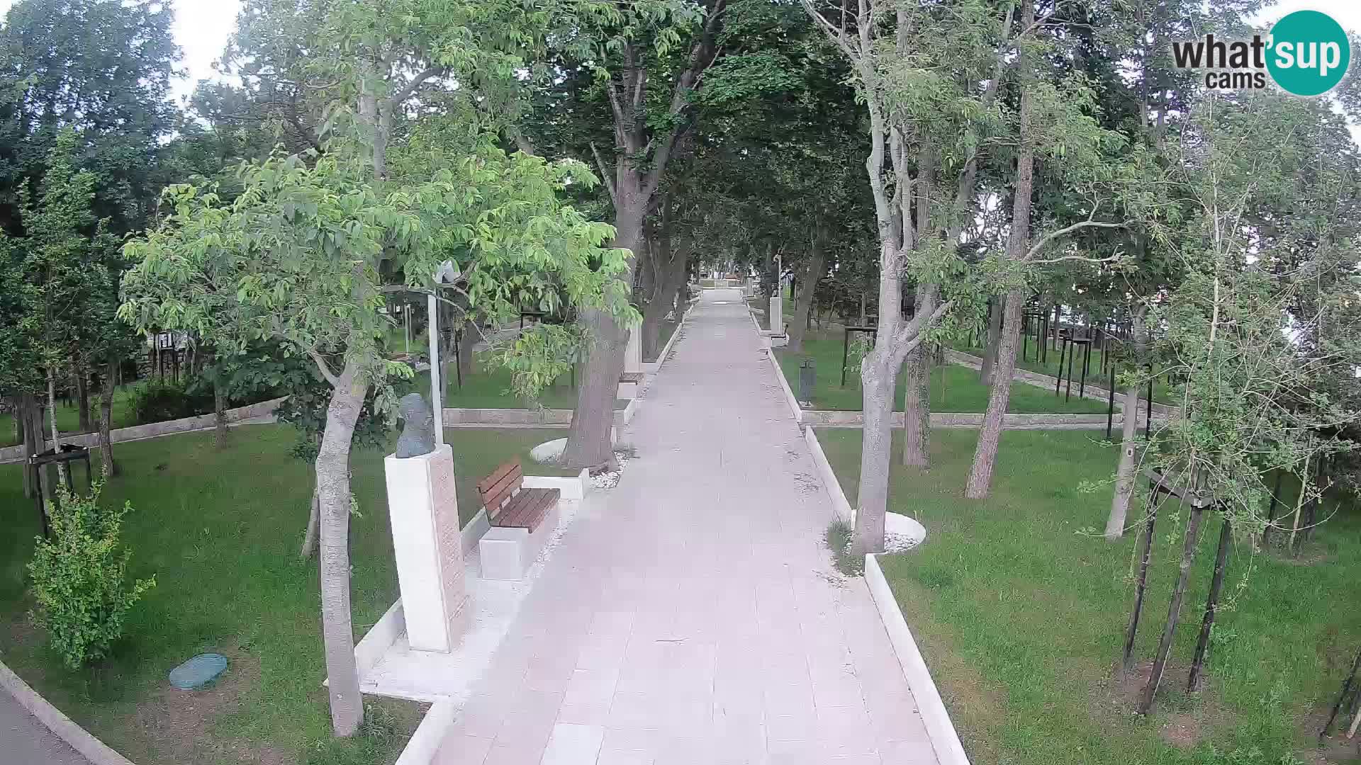 Webcam Parco degli Scrittori Segna – Diretta sul Mare
