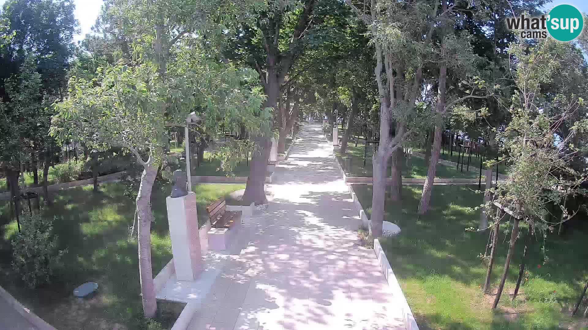 Webcam Parco degli Scrittori Segna – Diretta sul Mare
