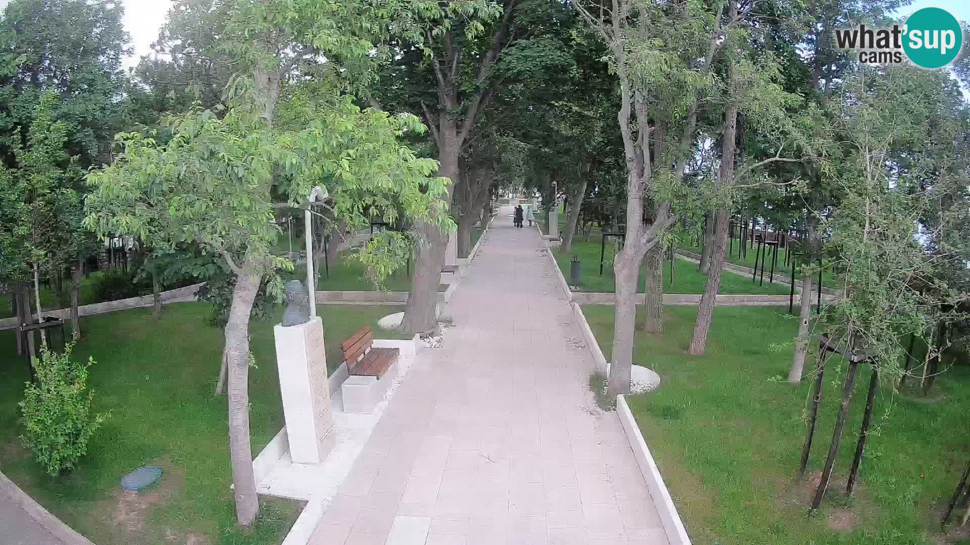 Webcam Parco degli Scrittori Segna – Diretta sul Mare
