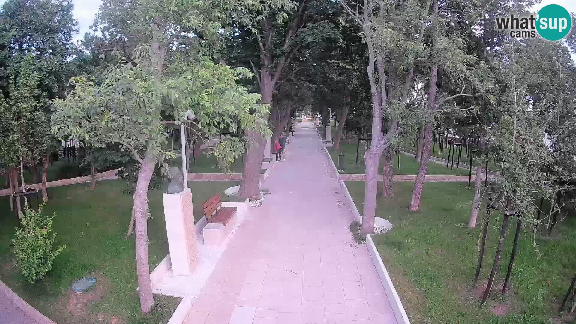 Webcam Schriftstellerpark Senj – Live am Meer