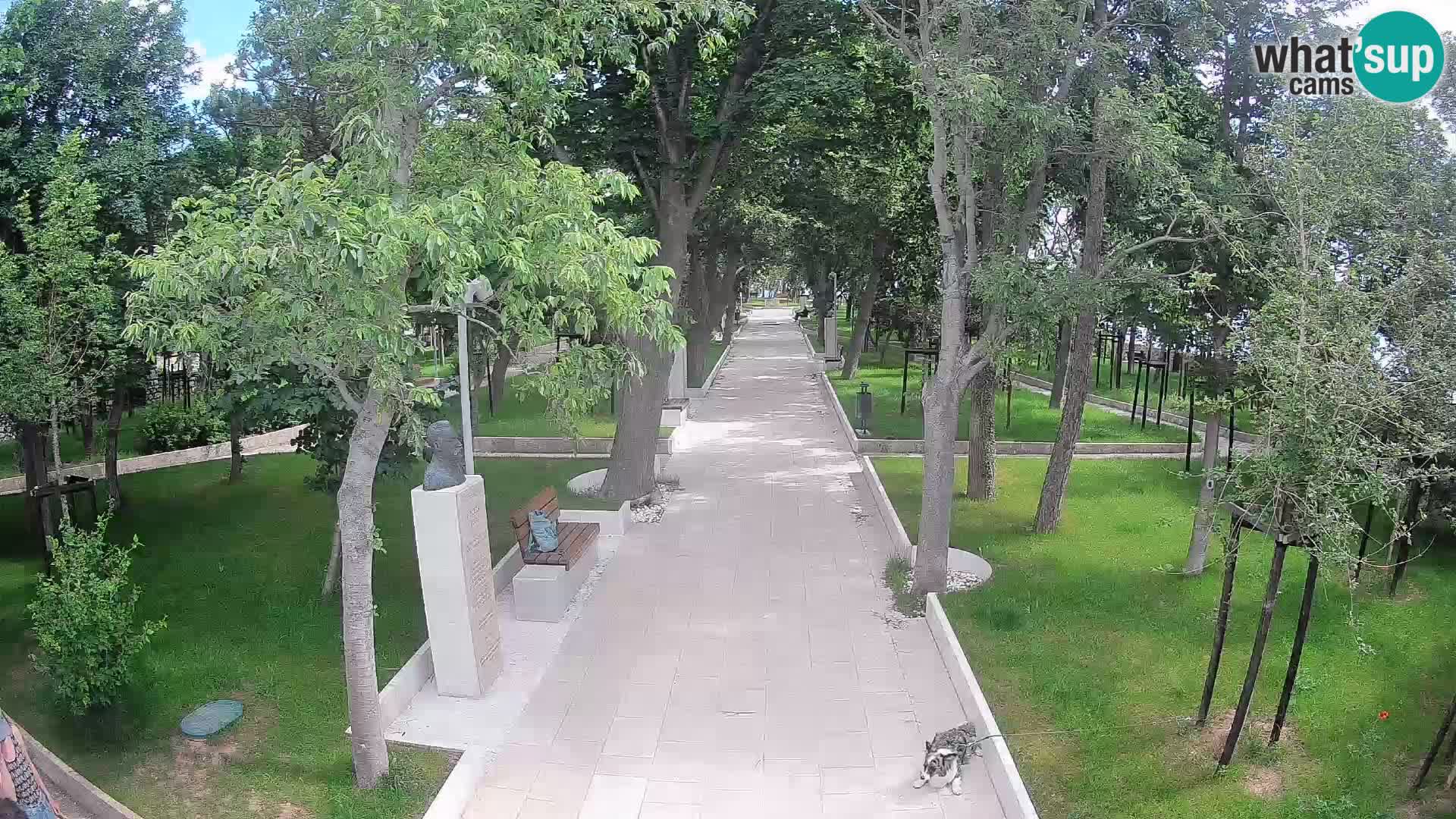 Webcam Schriftstellerpark Senj – Live am Meer