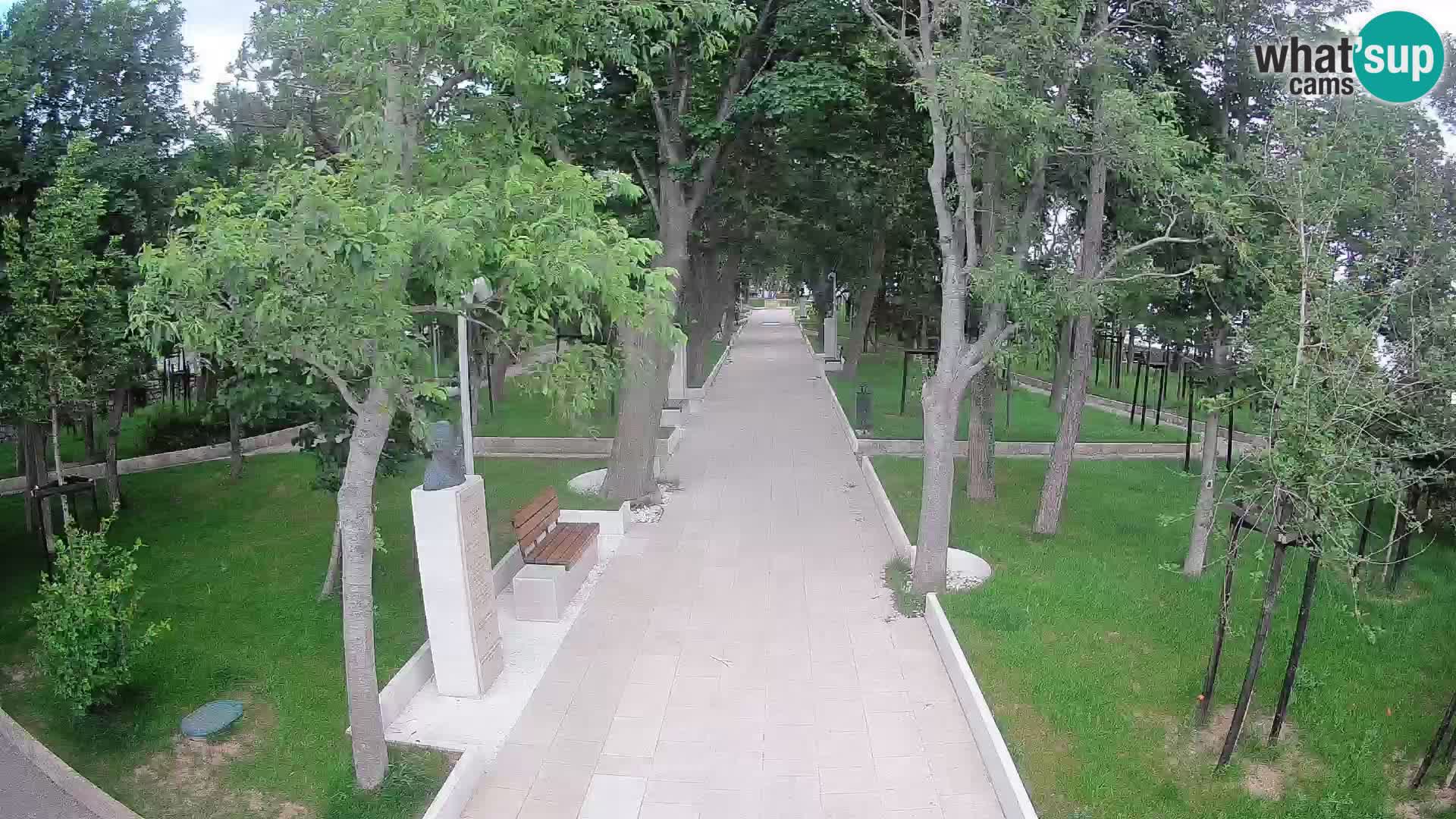 Webcam Parco degli Scrittori Segna – Diretta sul Mare