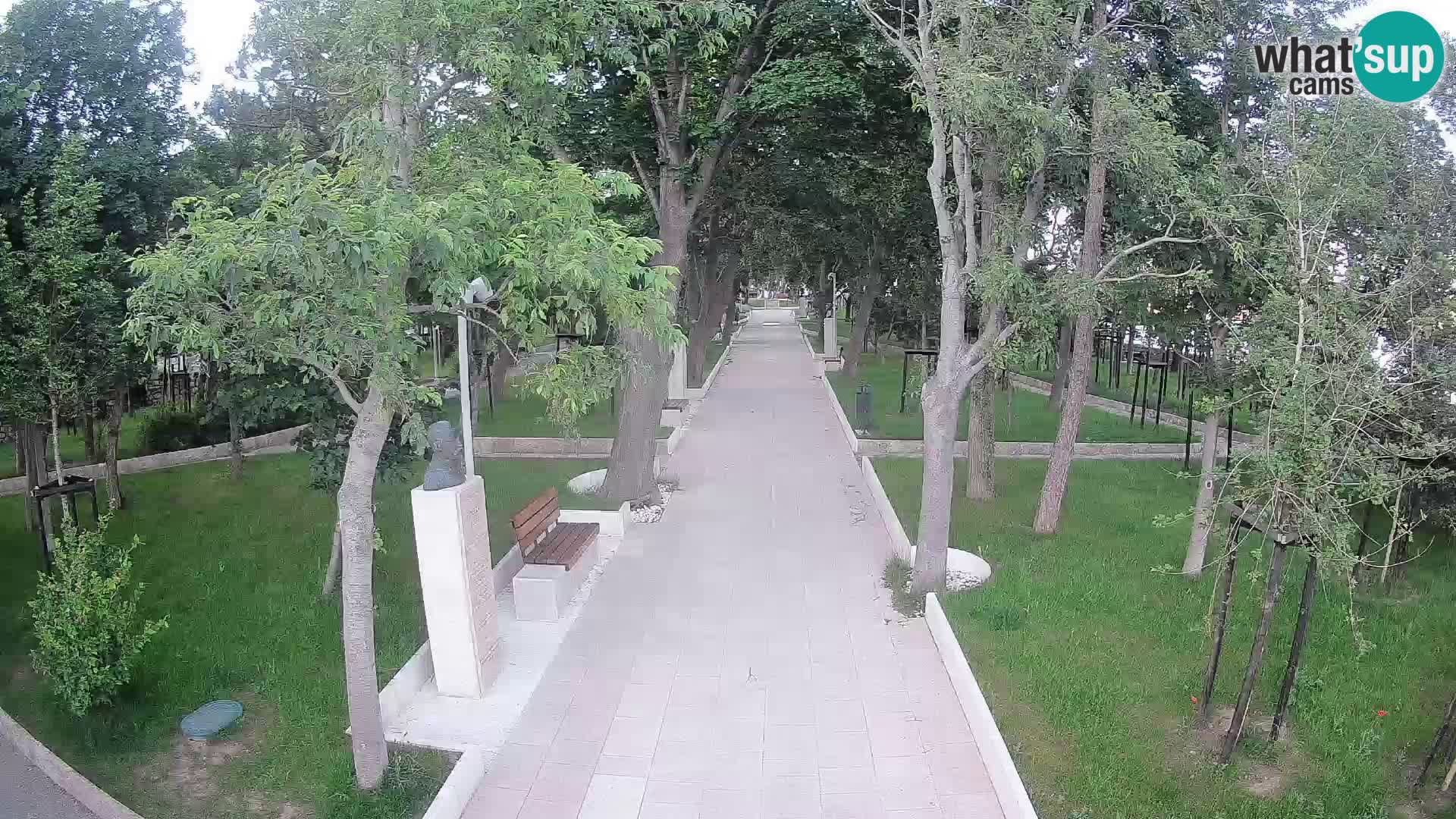Webcam Parco degli Scrittori Segna – Diretta sul Mare