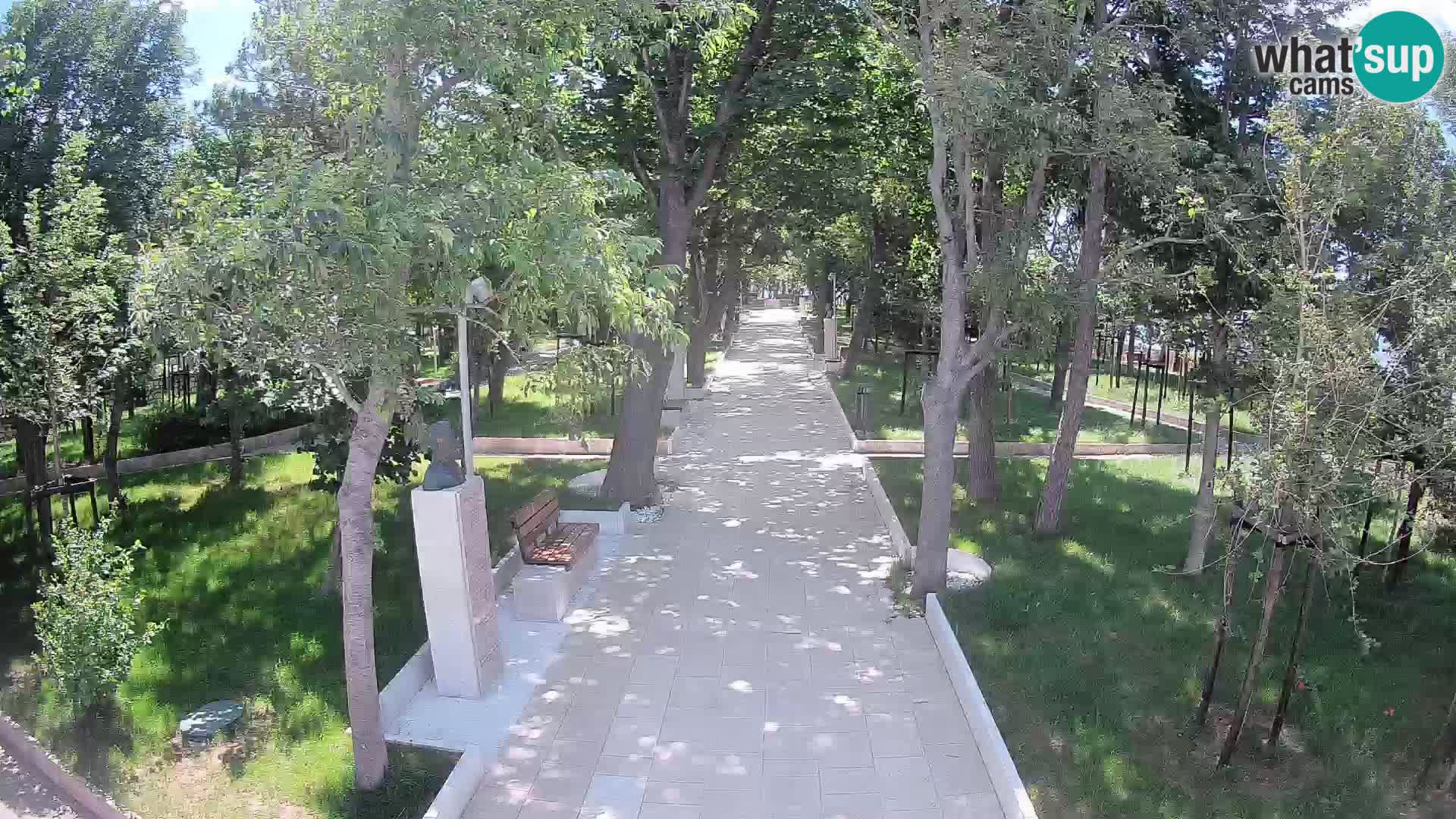 Webcam Parco degli Scrittori Segna – Diretta sul Mare