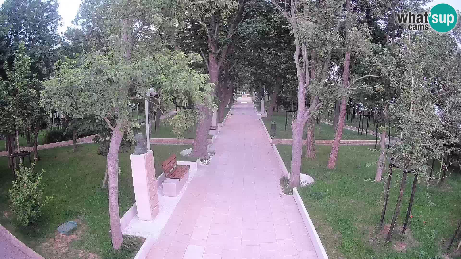 Webcam Parco degli Scrittori Segna – Diretta sul Mare